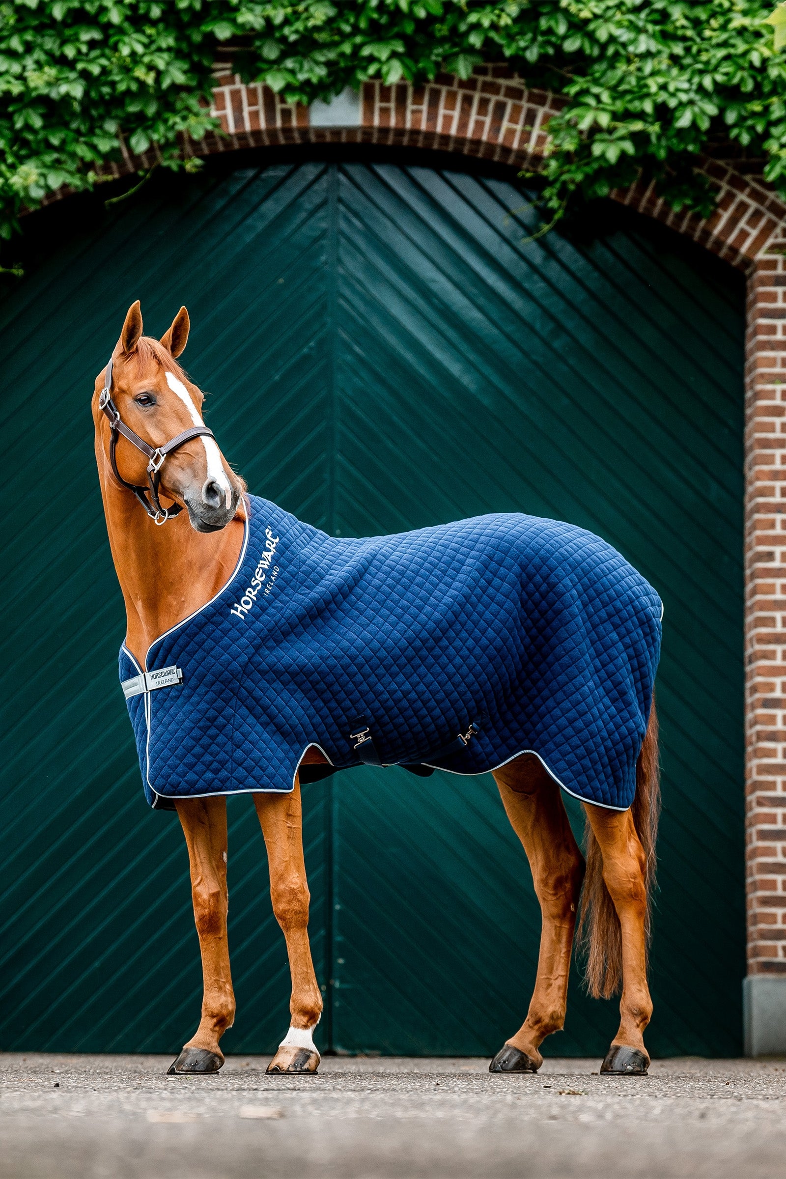 Horseware Couverture séchante d'automne Horseware Couvertures cheval