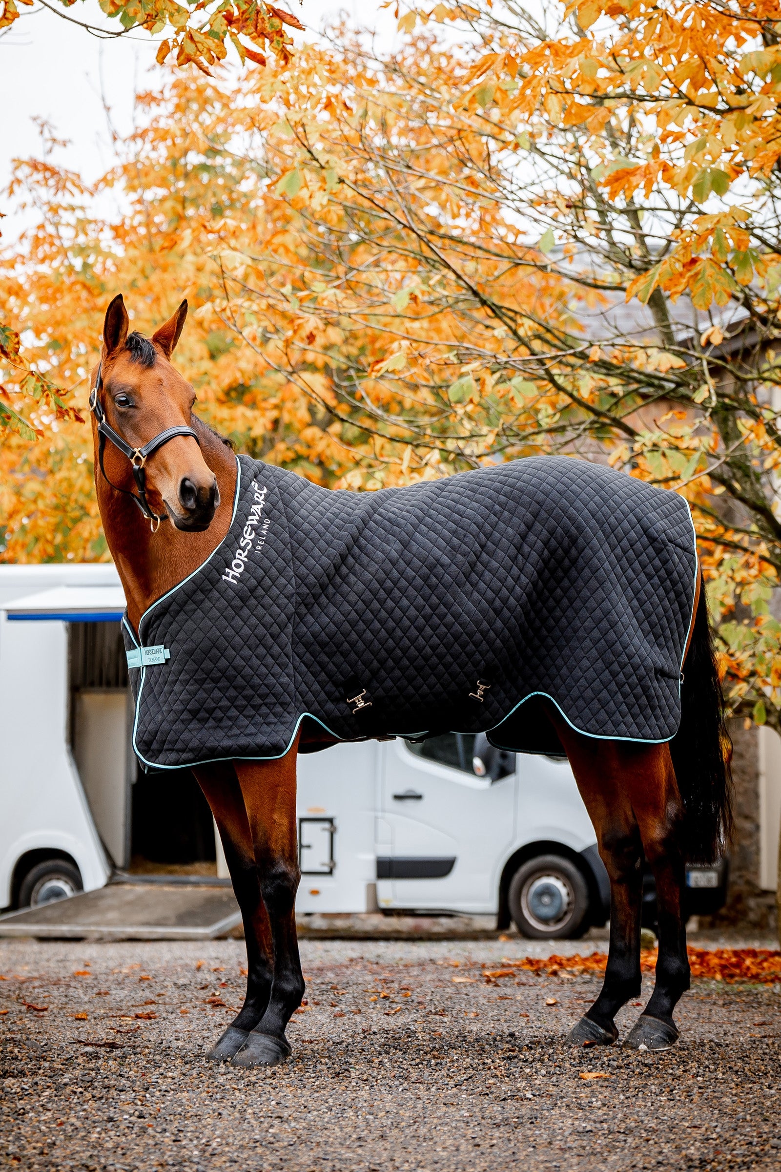 Horseware Couverture séchante d'automne Horseware Couvertures cheval