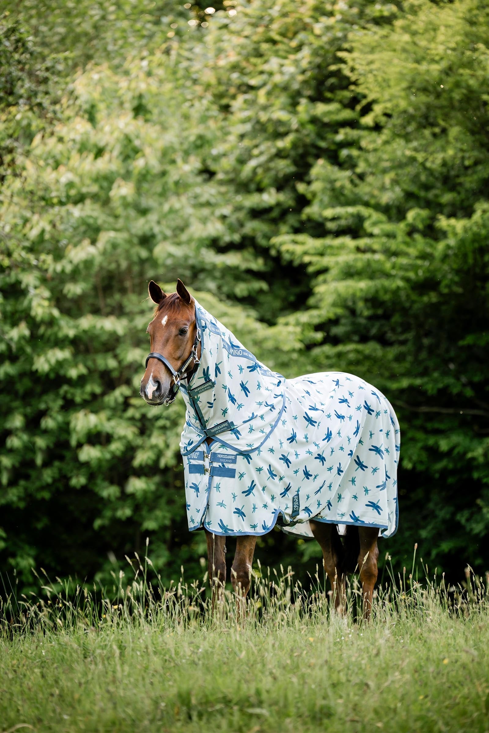 Horseware Amigo Couverture anti-mouches Plus Couvertures cheval