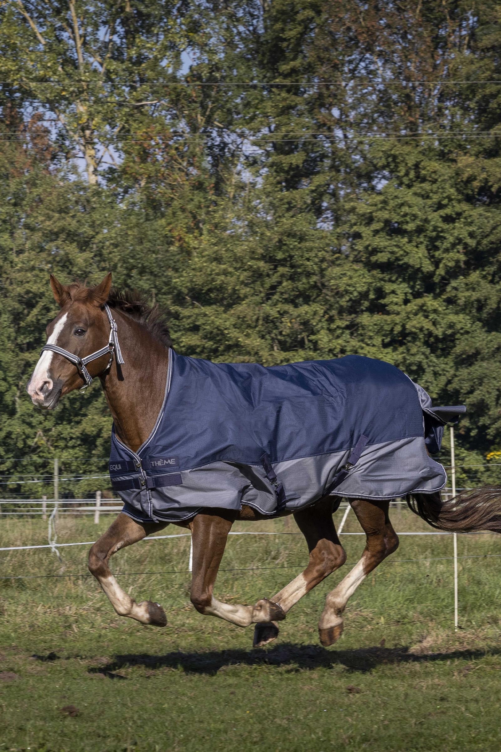 Equi Theme EQUITHÈME TYREX 600D Turnout Rug Fleece Lined Horse Rugs