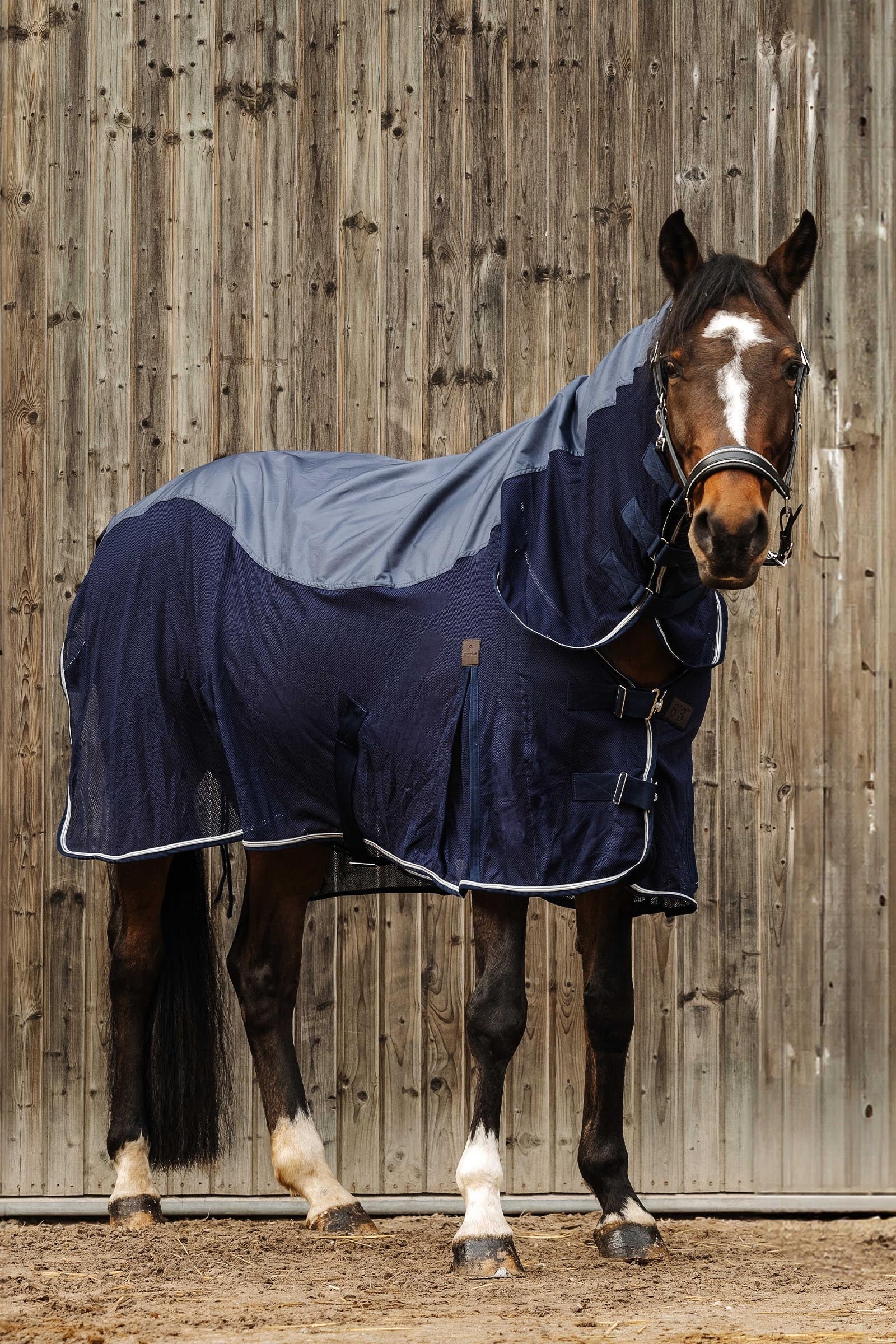 EQUITHÈME Combo Mixte couverture Couvertures cheval