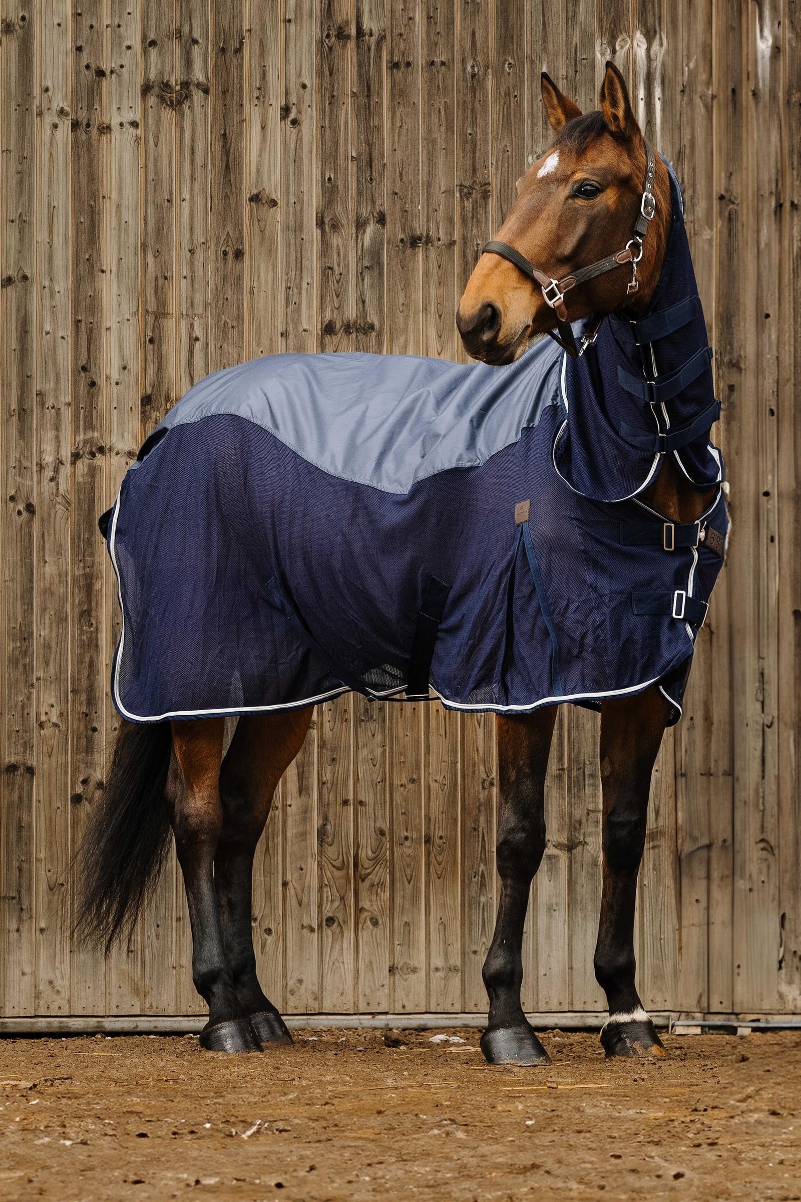 EQUITHÈME Combo Sheet Mixte Horse Rugs