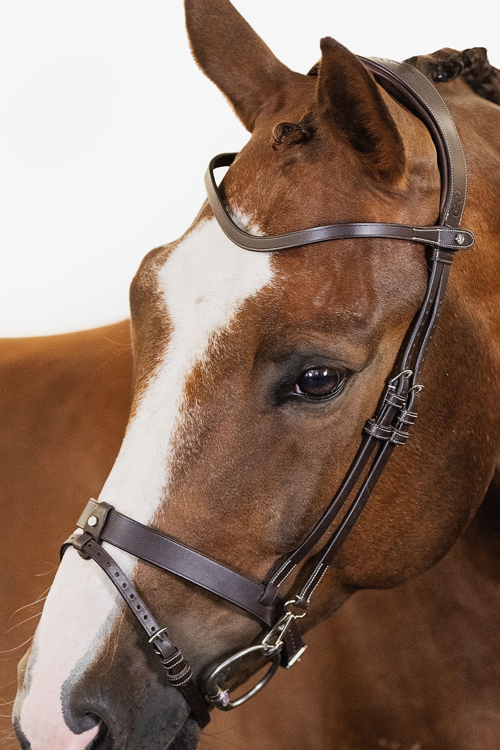 PS of Sweden London Bridle Briderie et enrênements