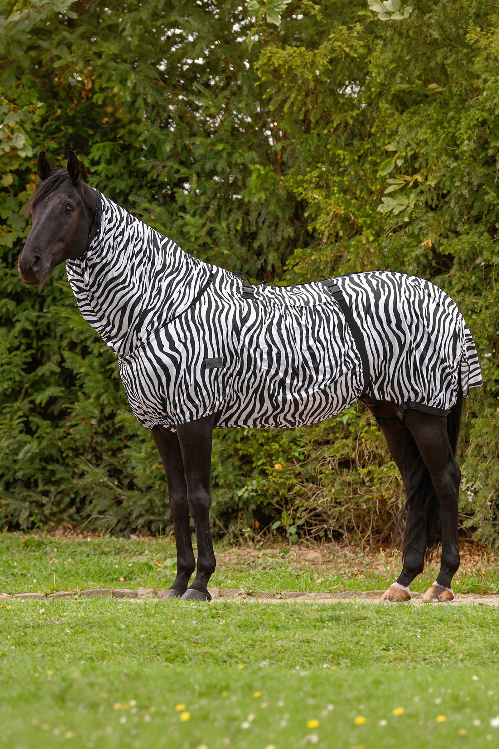 Waldhausen Basic couverture anti-dermite zébrée avec protection UV Couvertures cheval