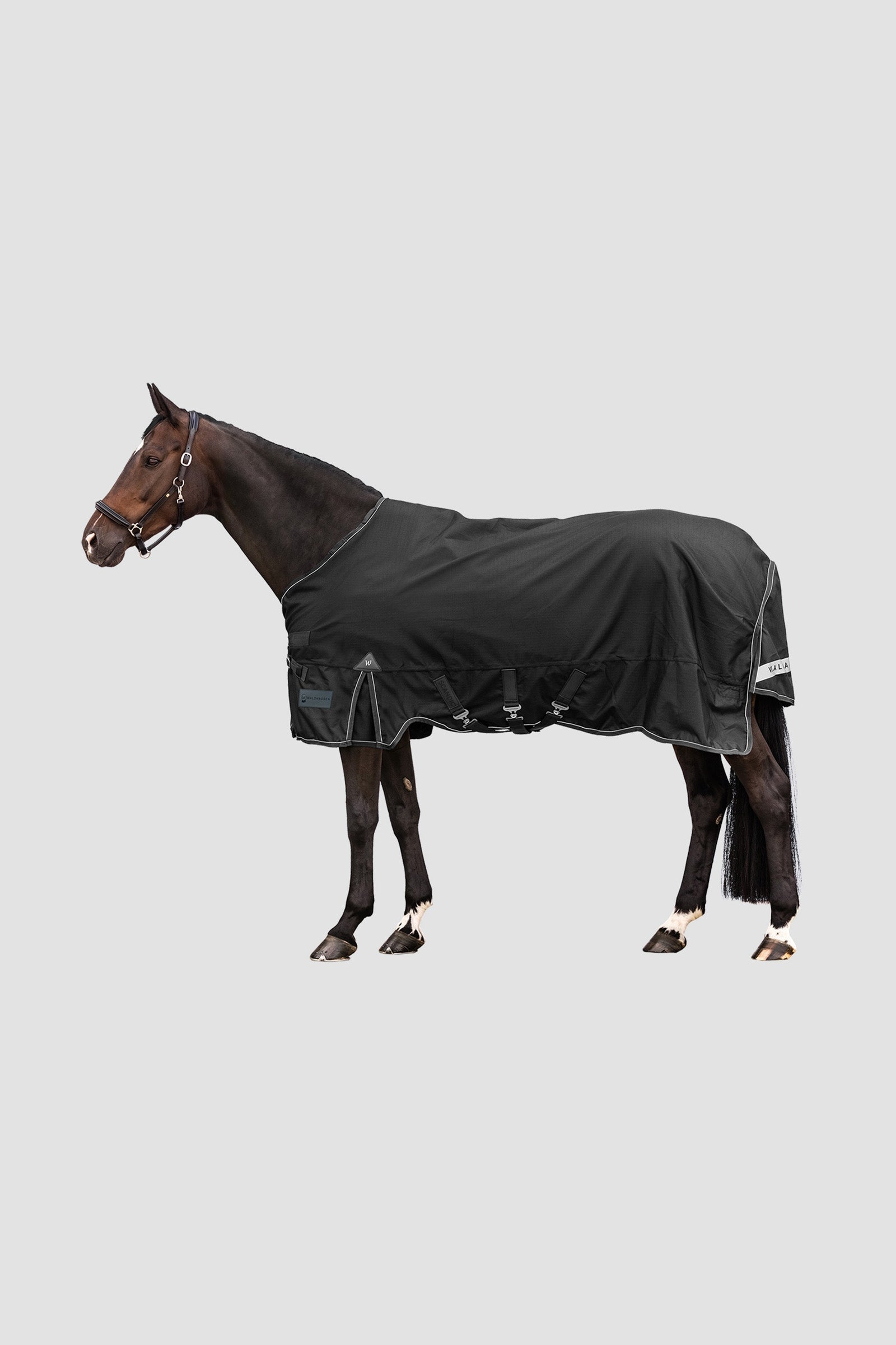 Waldhausen Outdoor Rug Scandic Multi-Layer 150g/50g Couvertures cheval