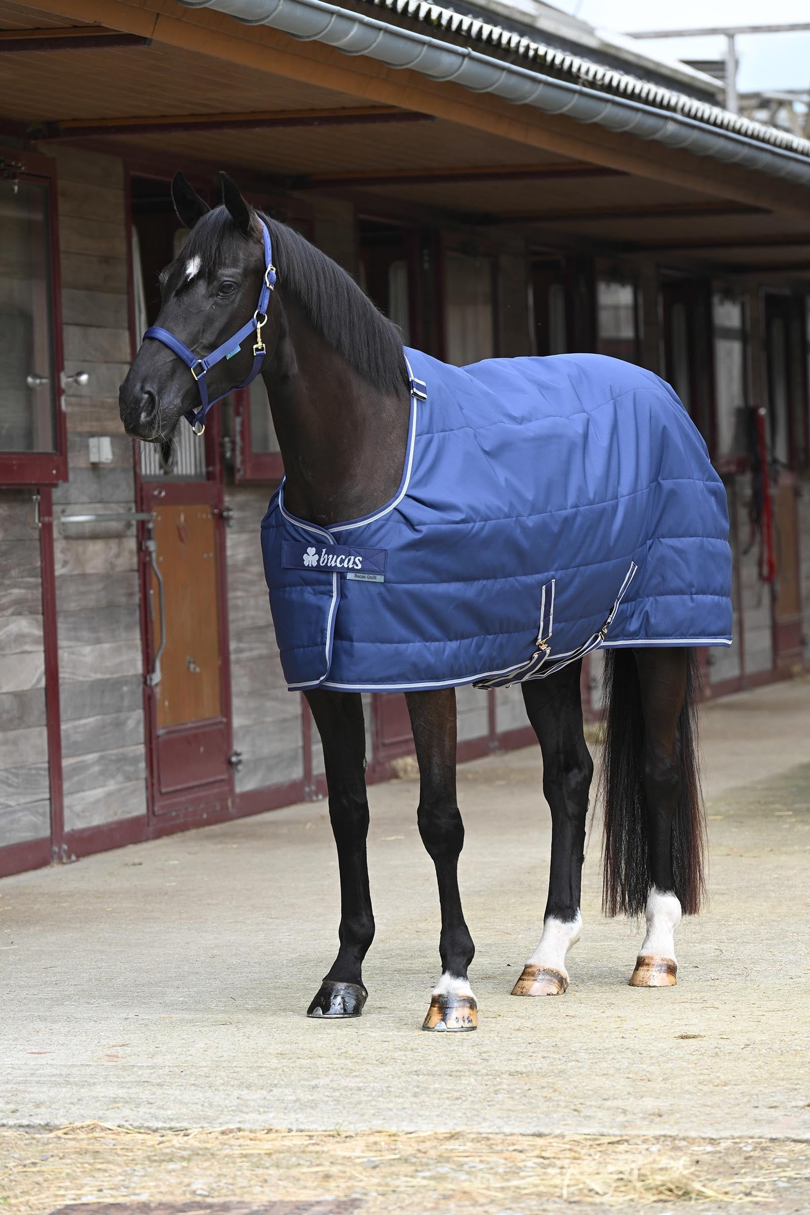 Bucas Quilt 150g SD Big Neck Horse Rugs
