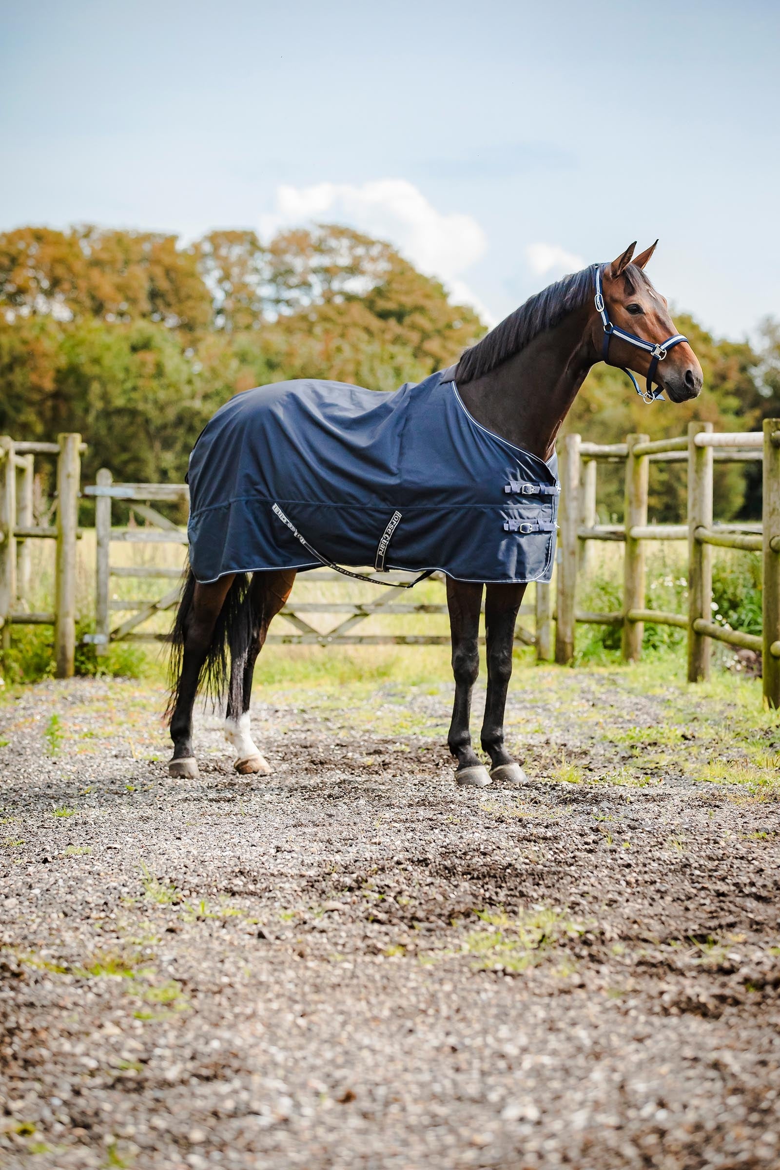 Horse Guard HorseGuard Landon 1200D Turnout Rug Standard Neck, 0 g Couvertures cheval
