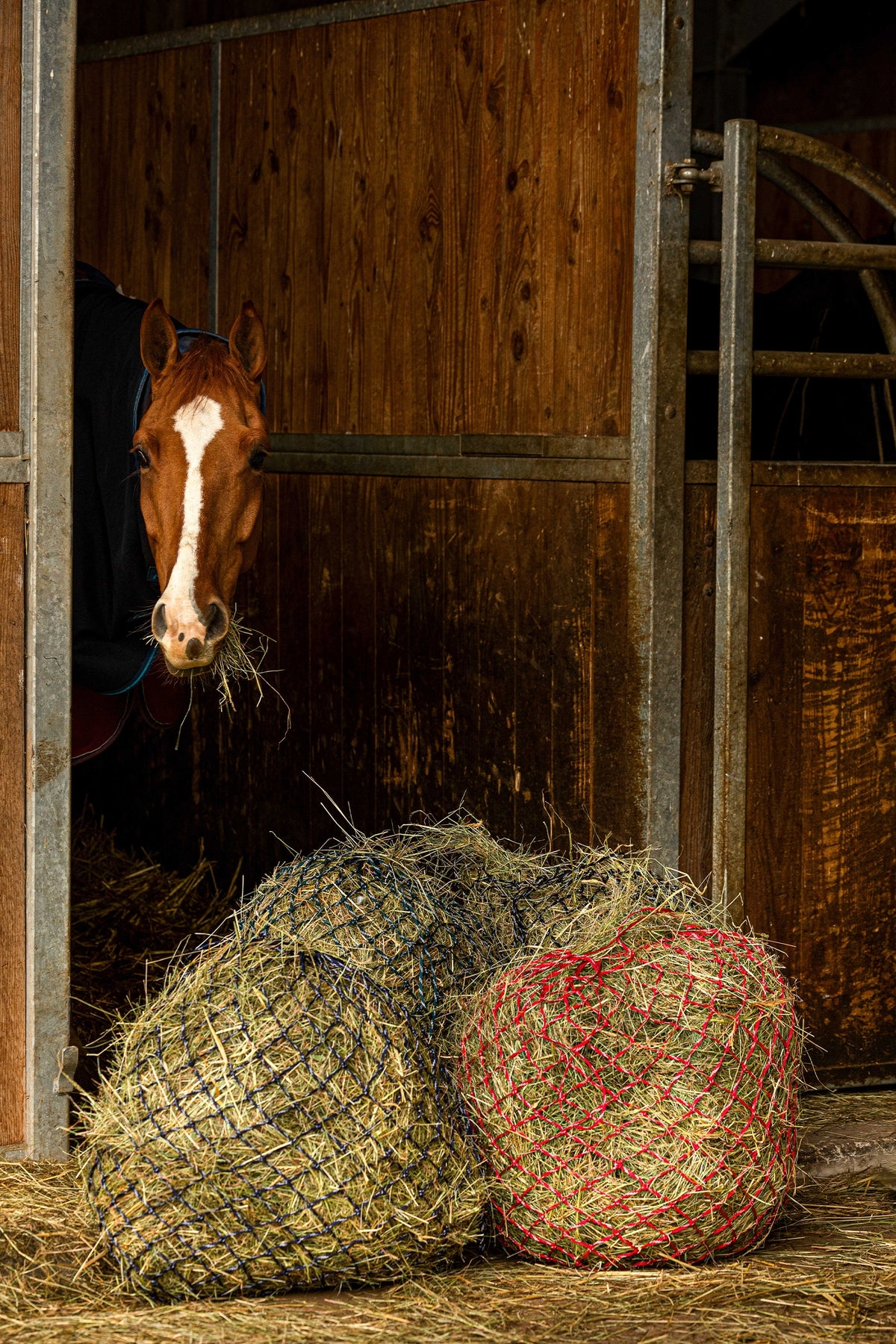 HIPPOTONIC ZARI Hay Net (105 cm), 5 x 5 Mesh Horse Feeders & Waterers