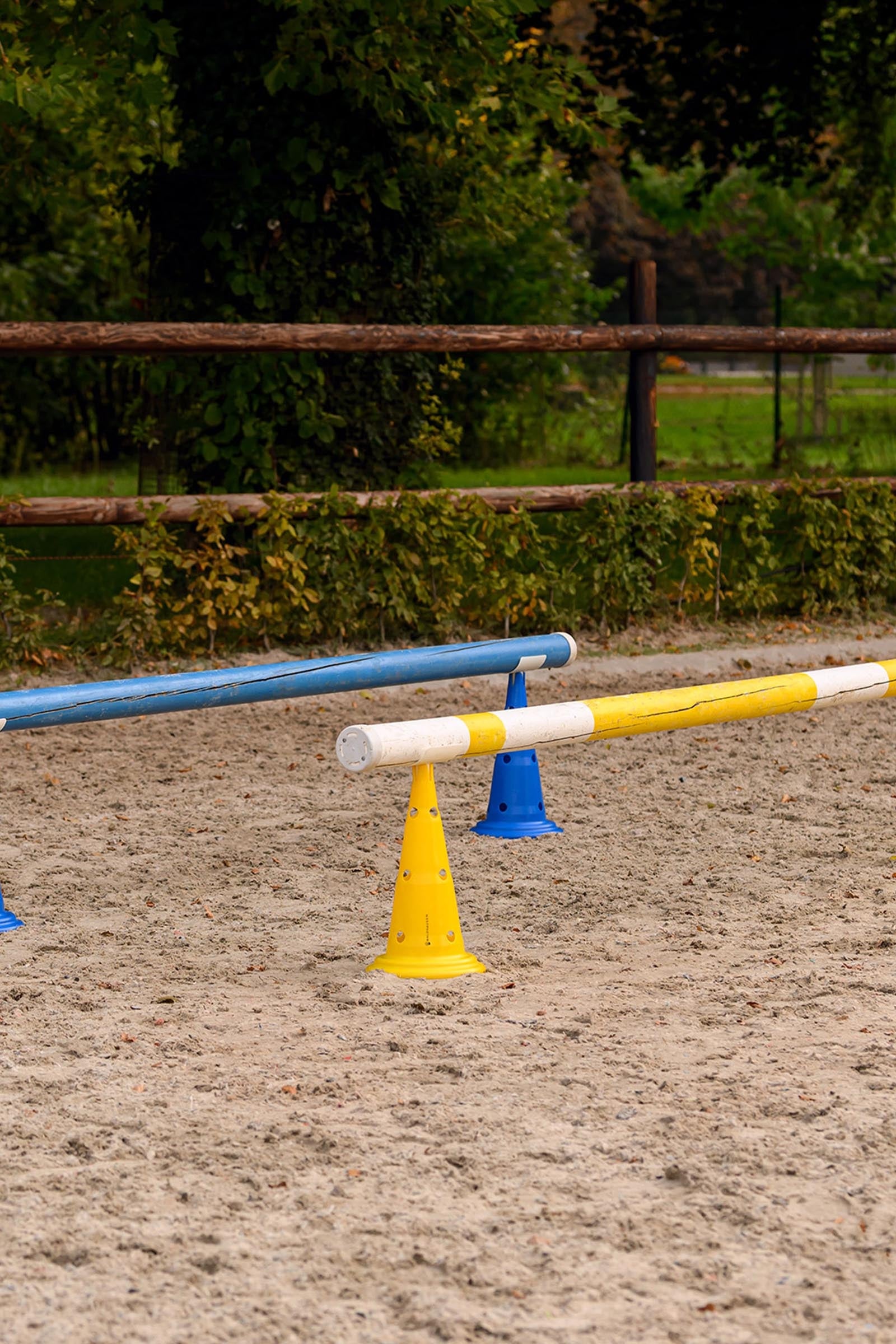 Waldhausen Pole Plastic Holder for Cones Horse Toys & Riding Arena Supplies