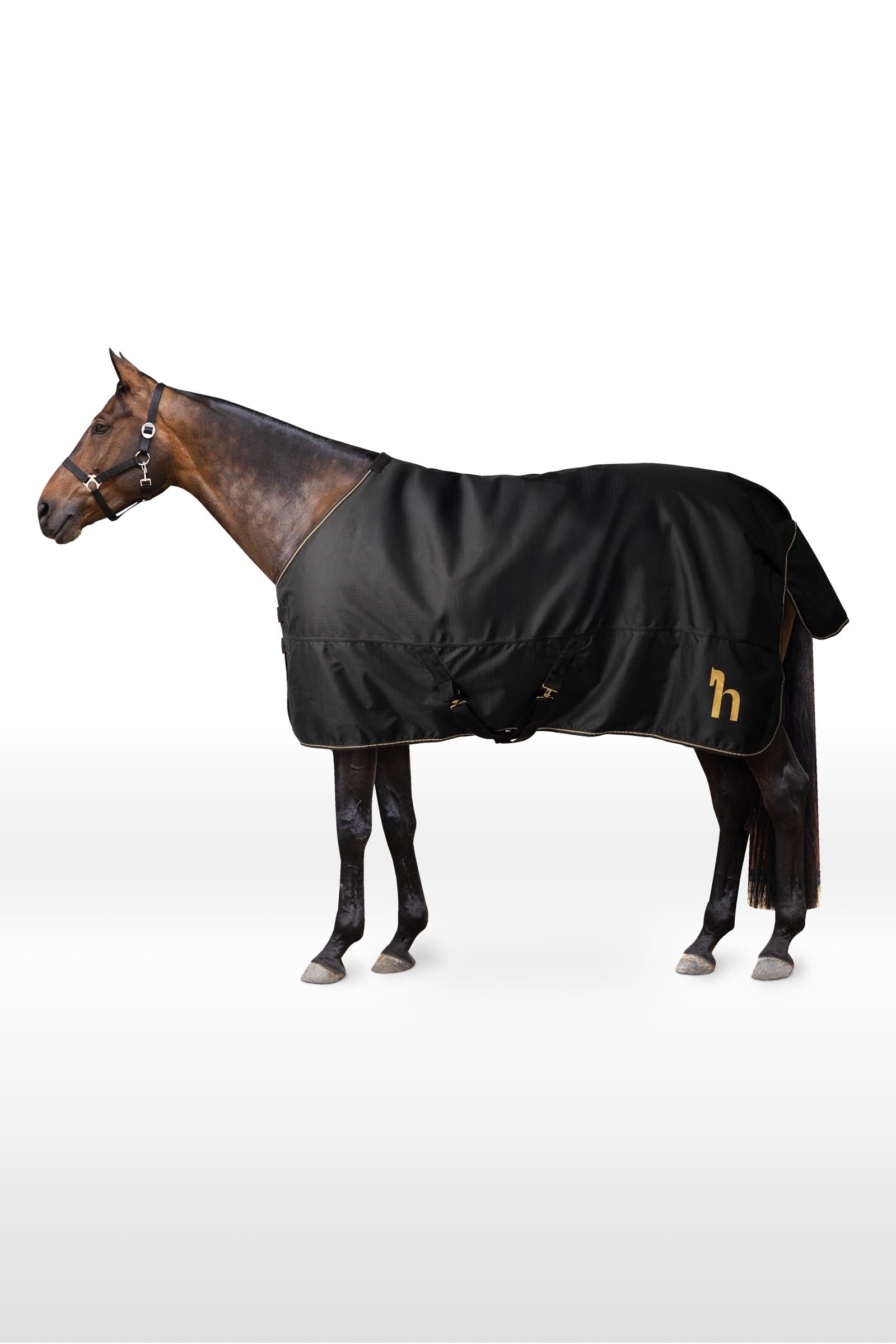 Horze 1200D couverture d'extérieur, 100 g Couvertures cheval