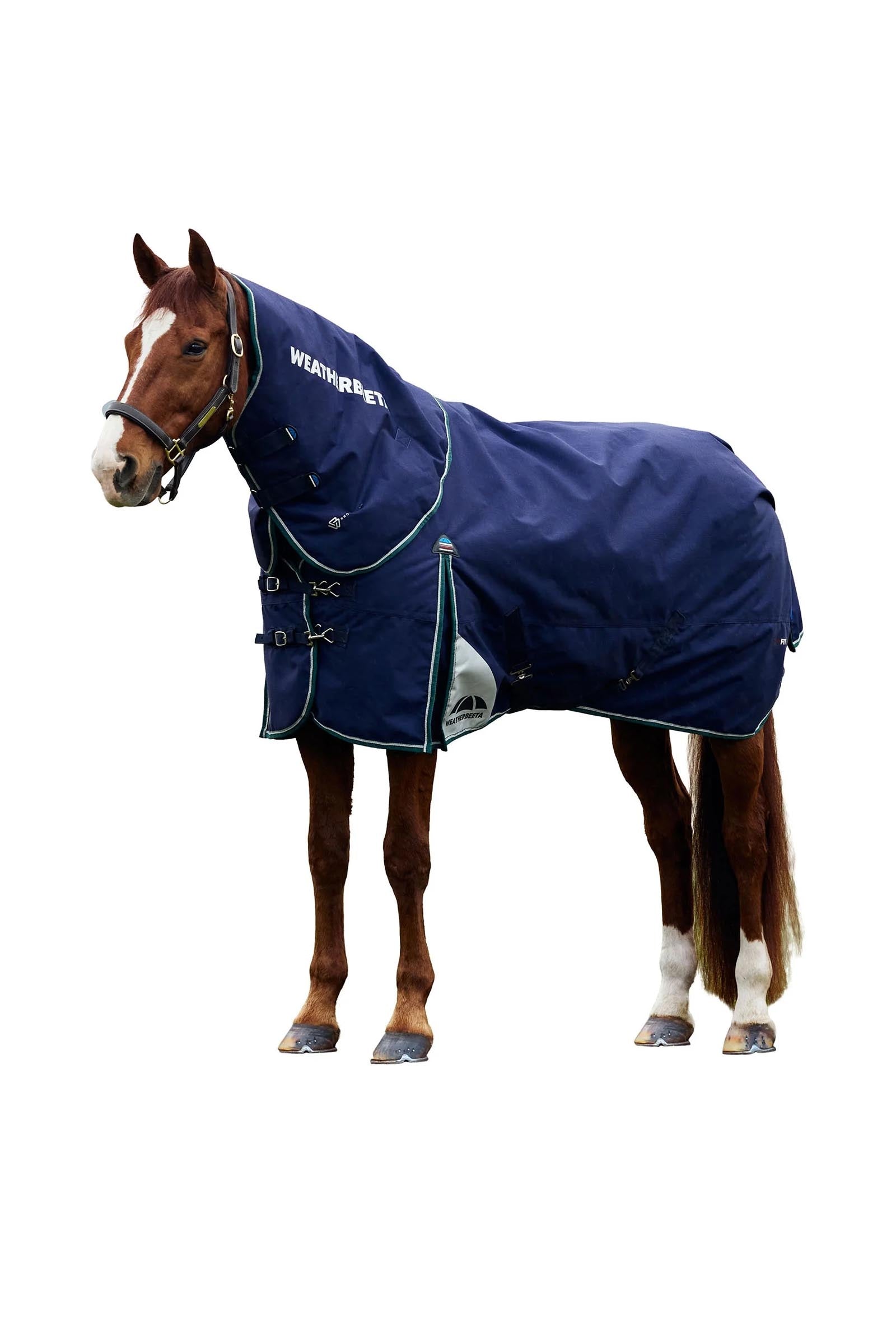 Weatherbeeta Couverture de pré Comfitec Plus Dynamic avec couvre-encolure amovible 360 g Couvertures cheval