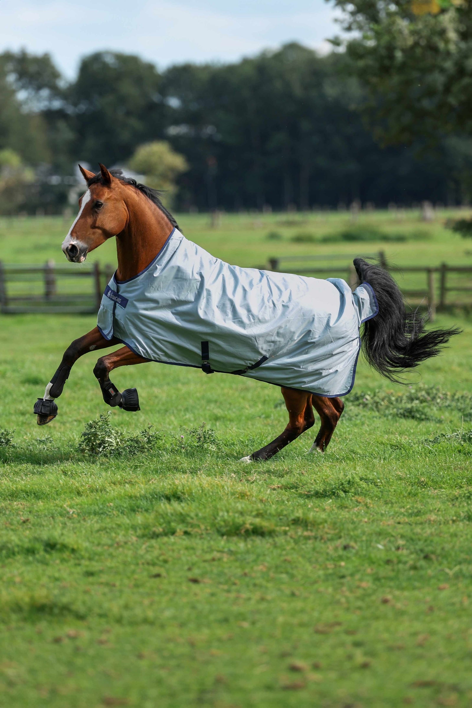 Bucas Power Light couverture imperméable avec encolure haute, 0 g Couvertures cheval