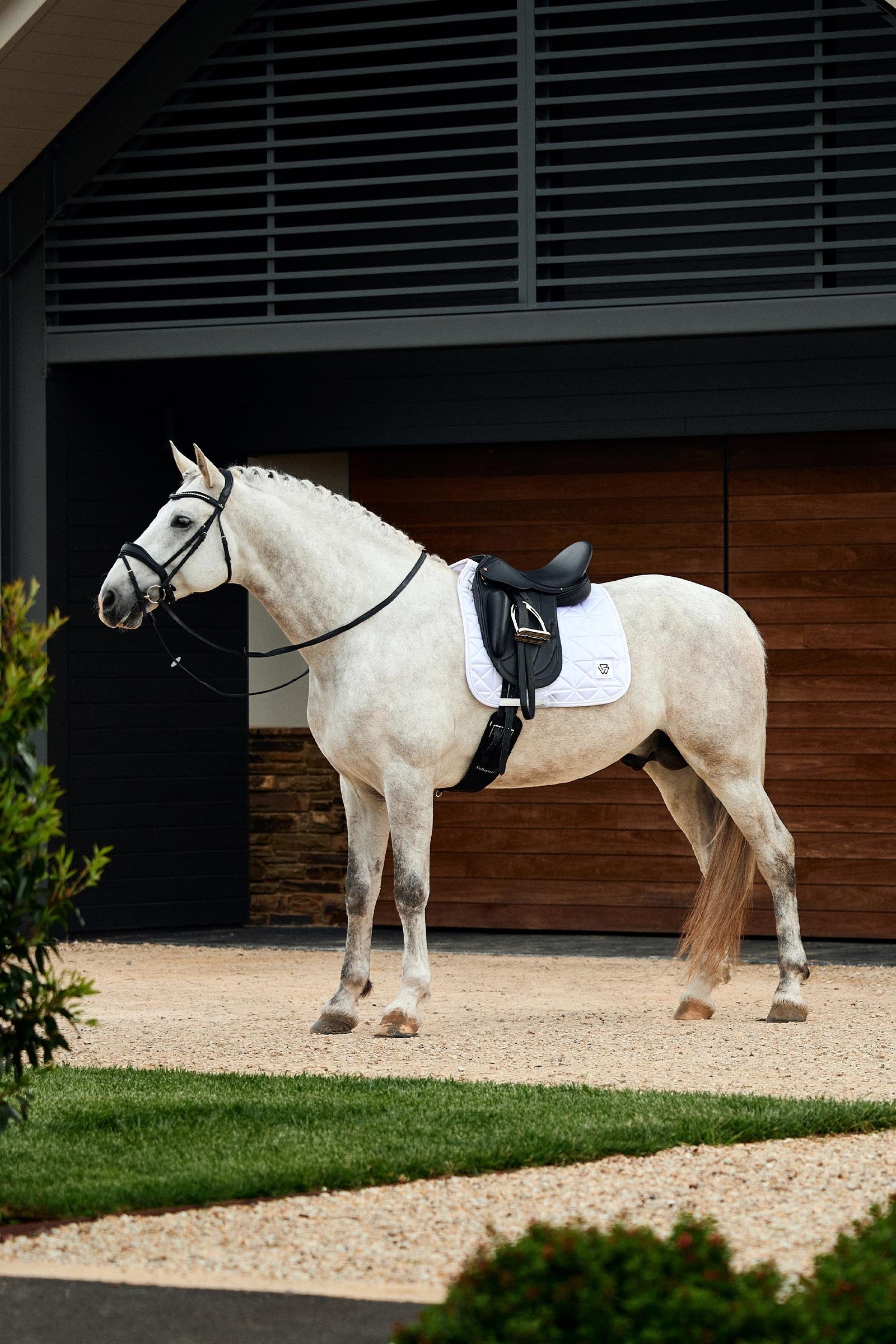 Weatherbeeta Satin Luxe Air-Tec Dressage Saddle Pad Saddle Pads