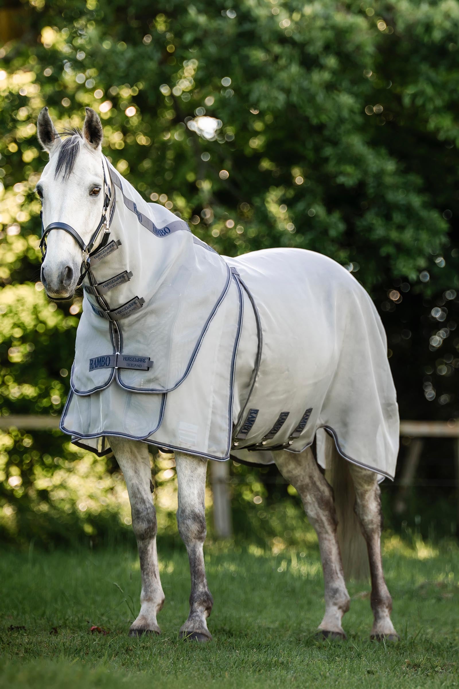 Horseware Rambo Optimo Protector Plus couverture Couvertures cheval