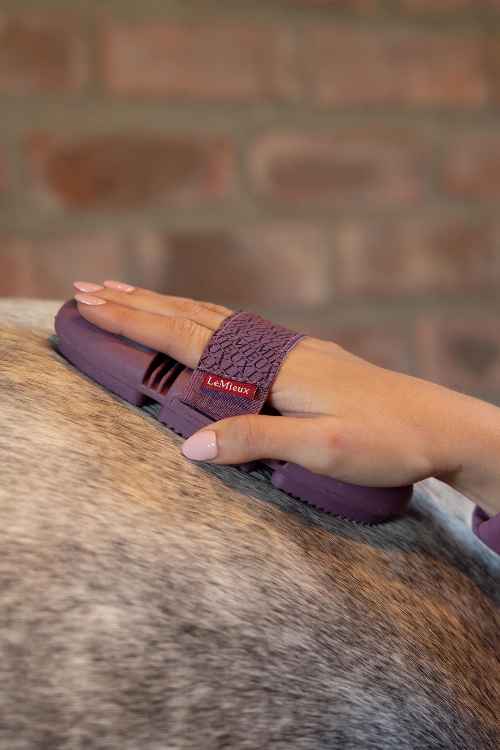 LeMieux Flexi Curry Comb Horse Grooming Tools