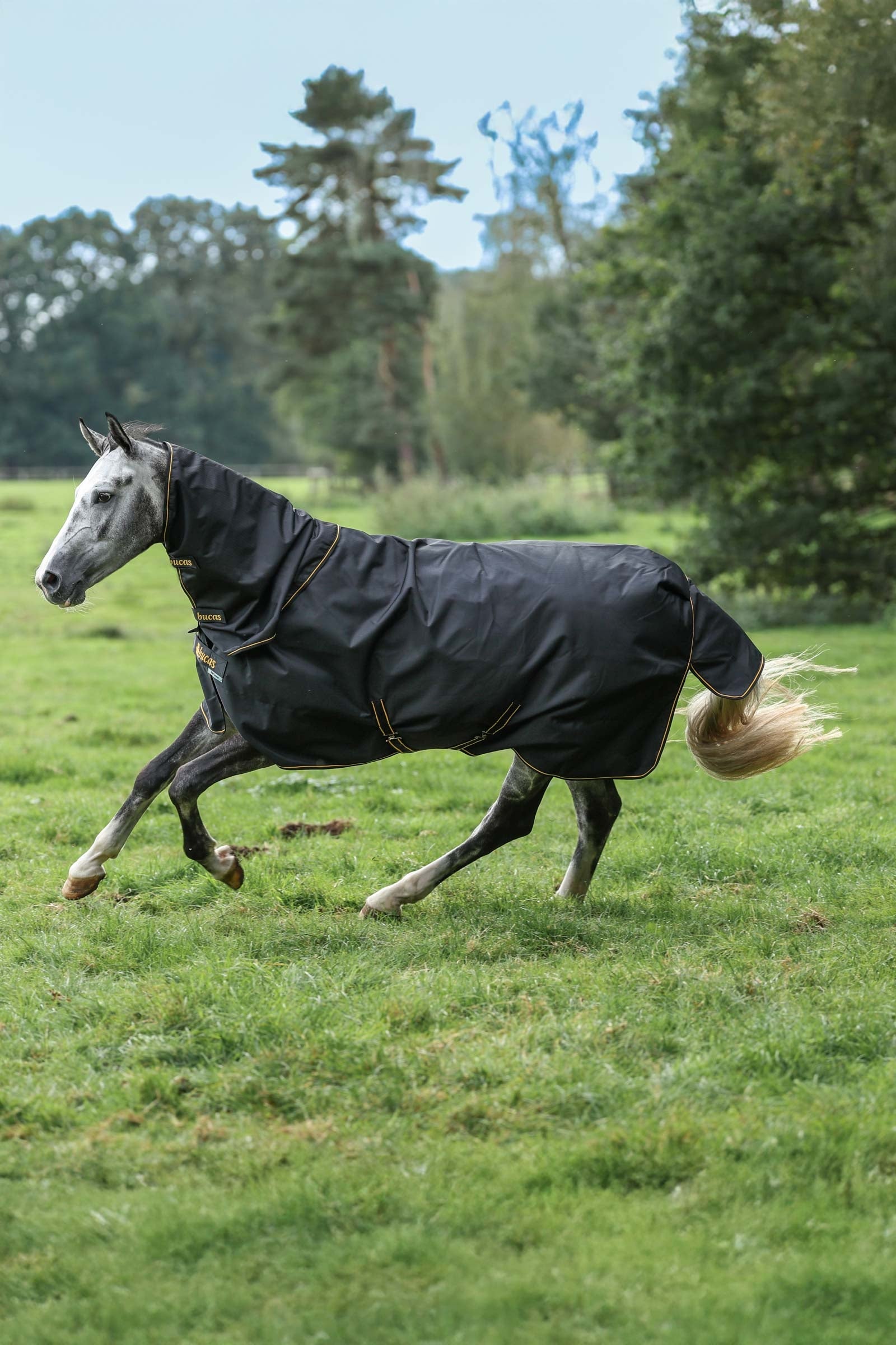 Bucas Irish Turnout 150 g Rug & Neck Set Couvertures cheval