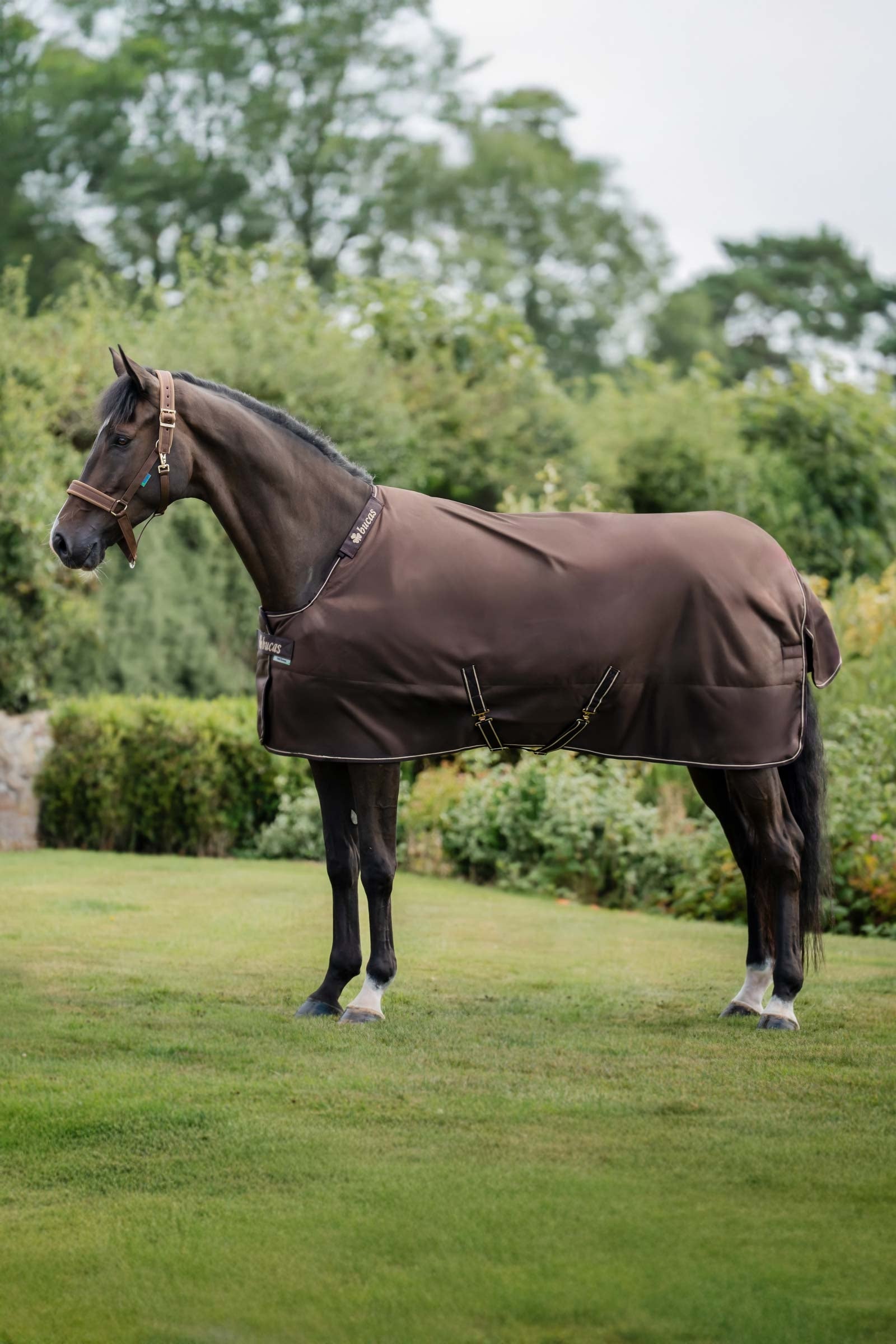 Bucas Irish Turnout 150 g Rug & Neck Set Couvertures cheval