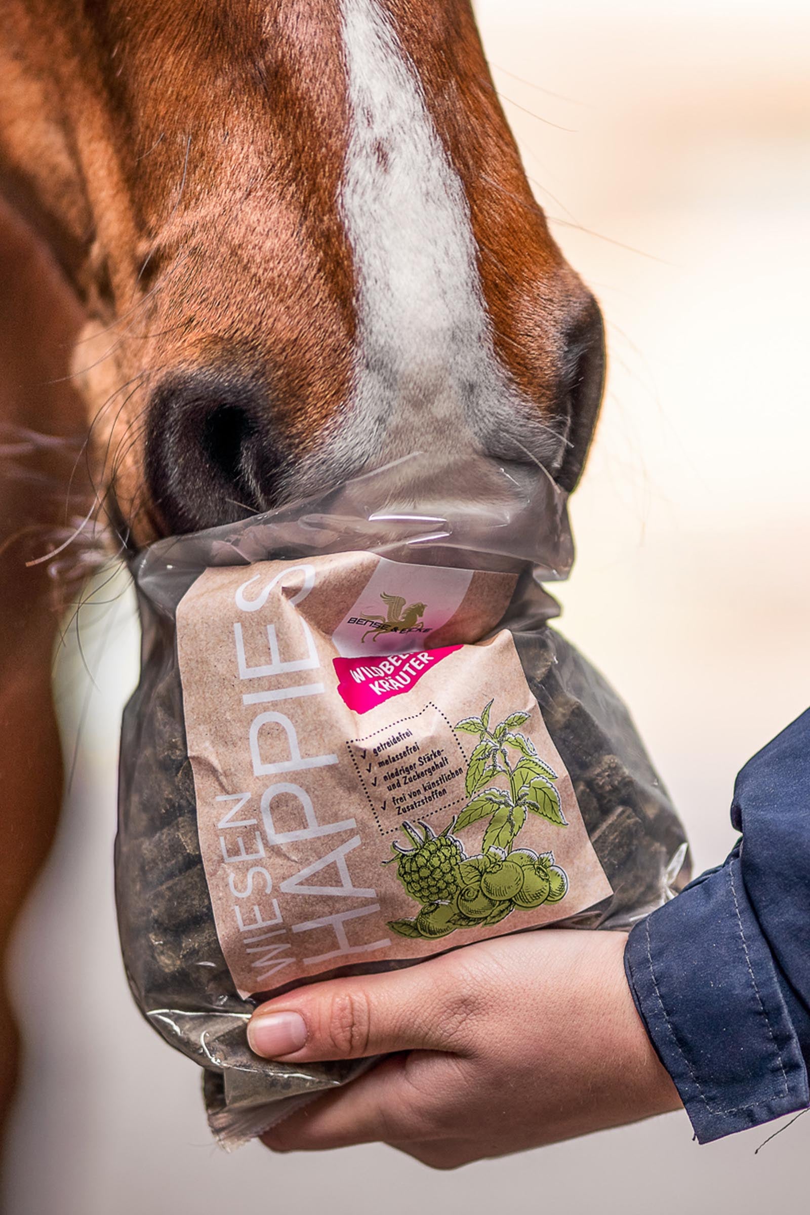 Bense & Eicke Meadow Happies Wild Berry Herbs, 1 kg Horse Feed & Nutrition