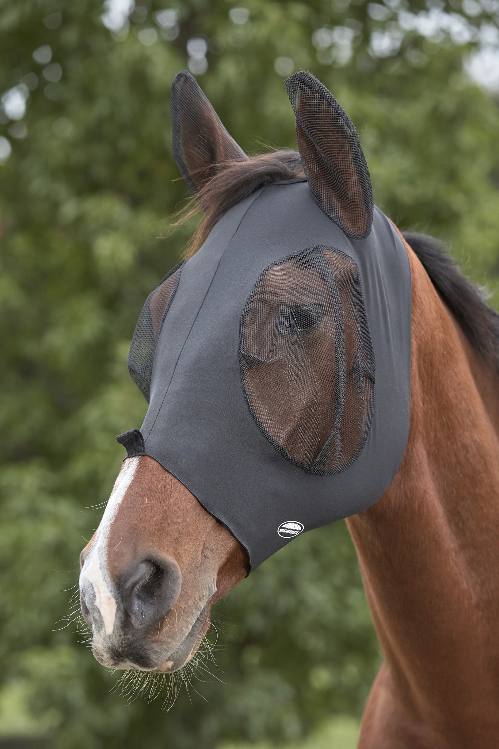 Weatherbeeta Deluxe Stretch Bug Eye Saver with Ears Anti-mouches cheval