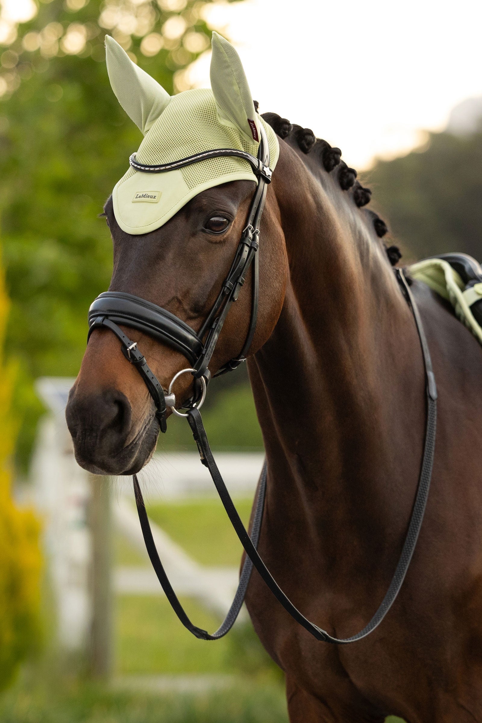 LeMieux Air-Tek Mesh Fly Hood Antifly Protection for Horses