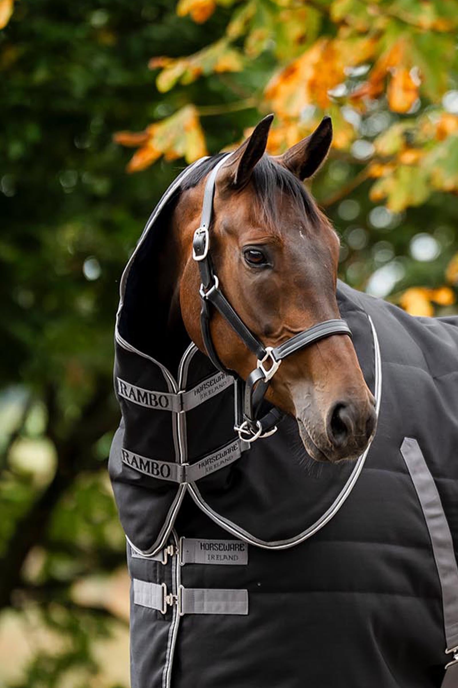 Horseware Rambo Stable Hood 100 g Horse Rugs