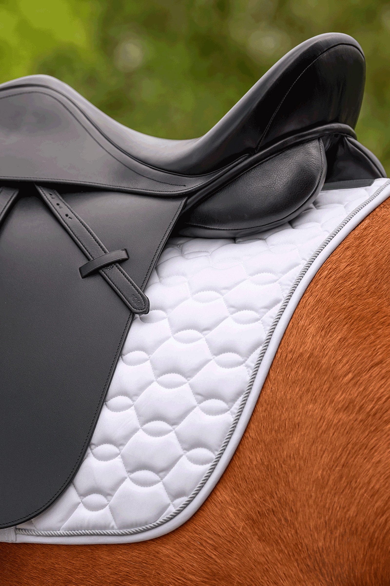 Waldhausen Ancona Dressage Saddle Pad Saddle Pads