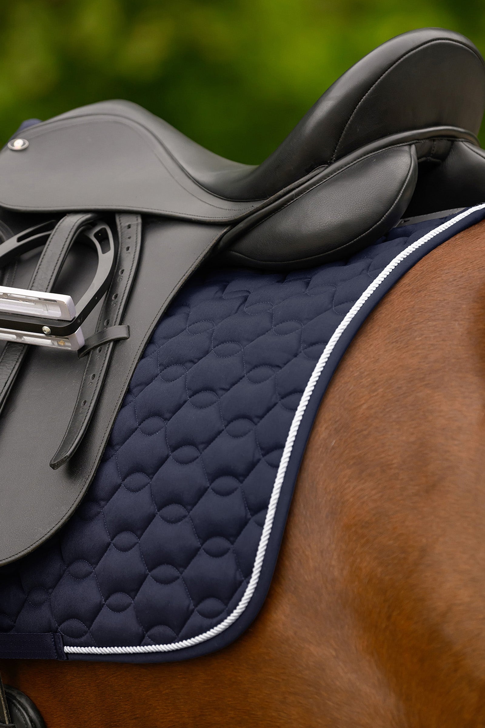Waldhausen Ancona Dressage Saddle Pad Saddle Pads