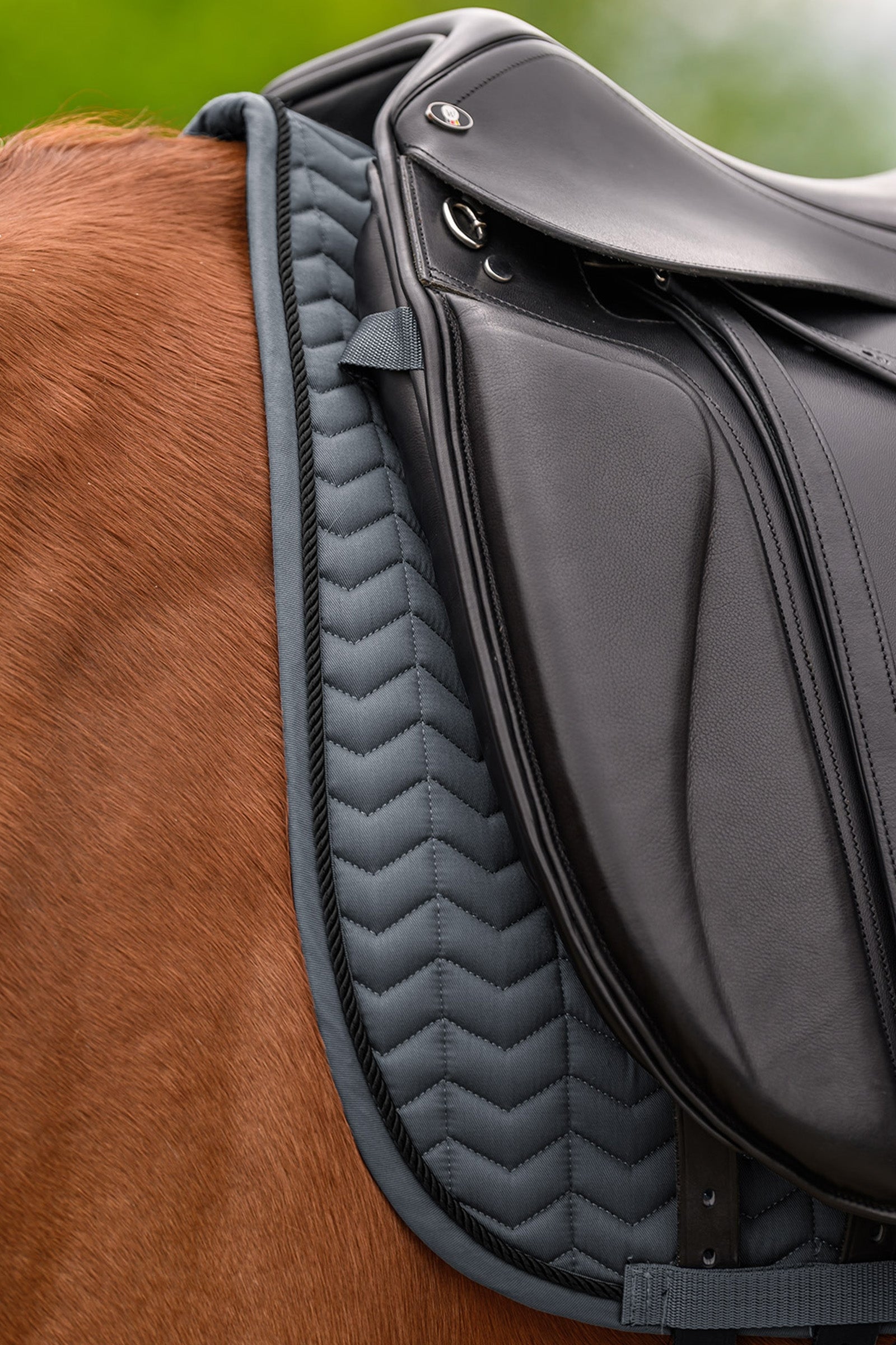 Waldhausen Classic Dressage Saddle Pad Saddle Pads