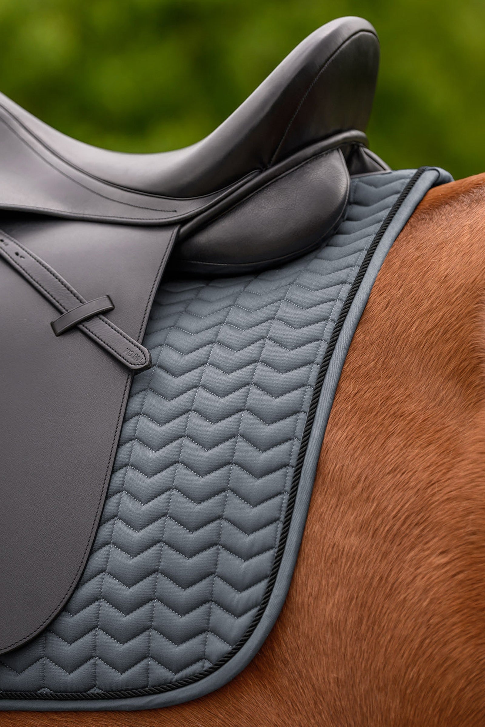 Waldhausen Classic Dressage Saddle Pad Saddle Pads
