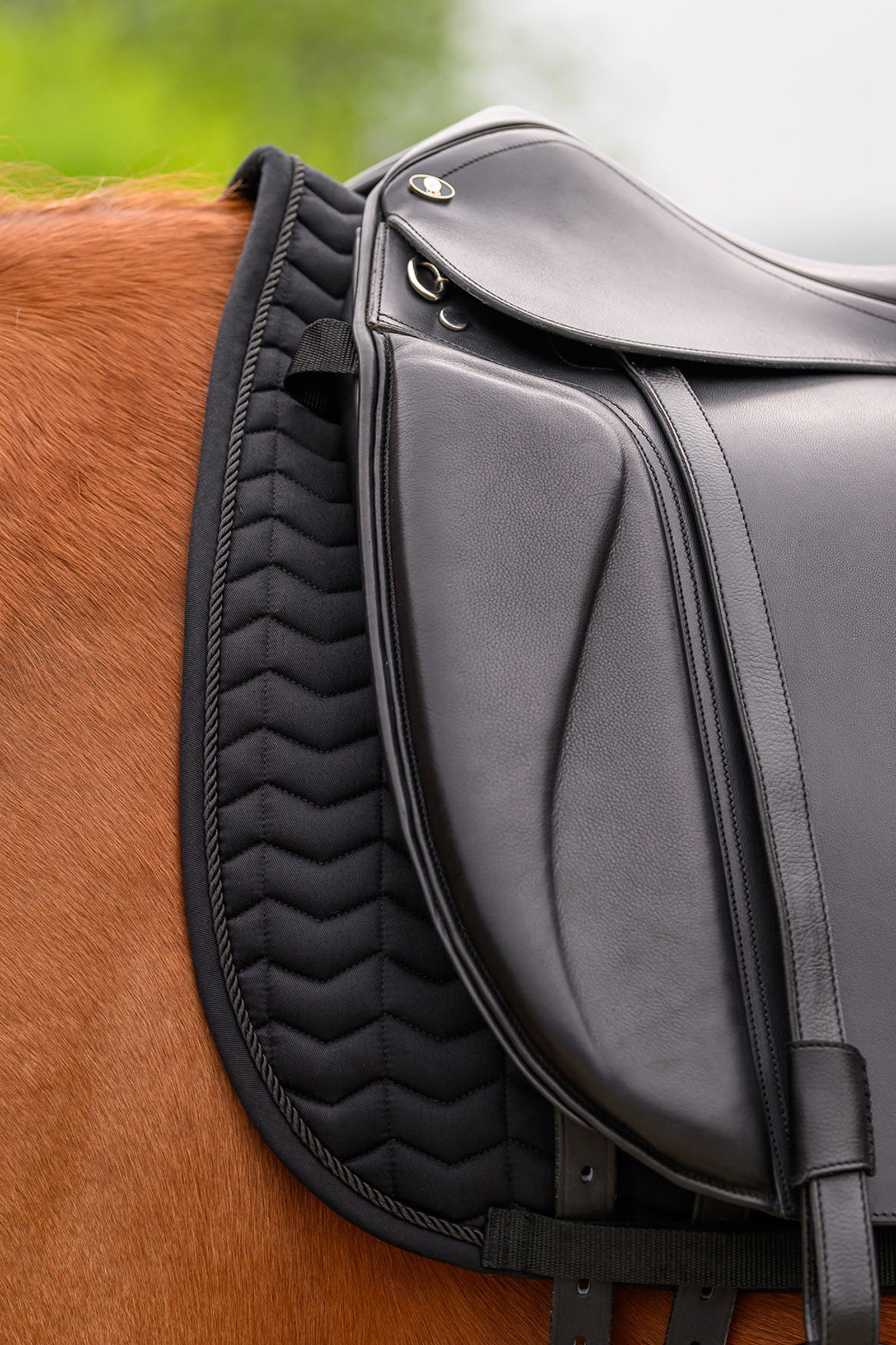 Waldhausen Classic Dressage Saddle Pad Saddle Pads