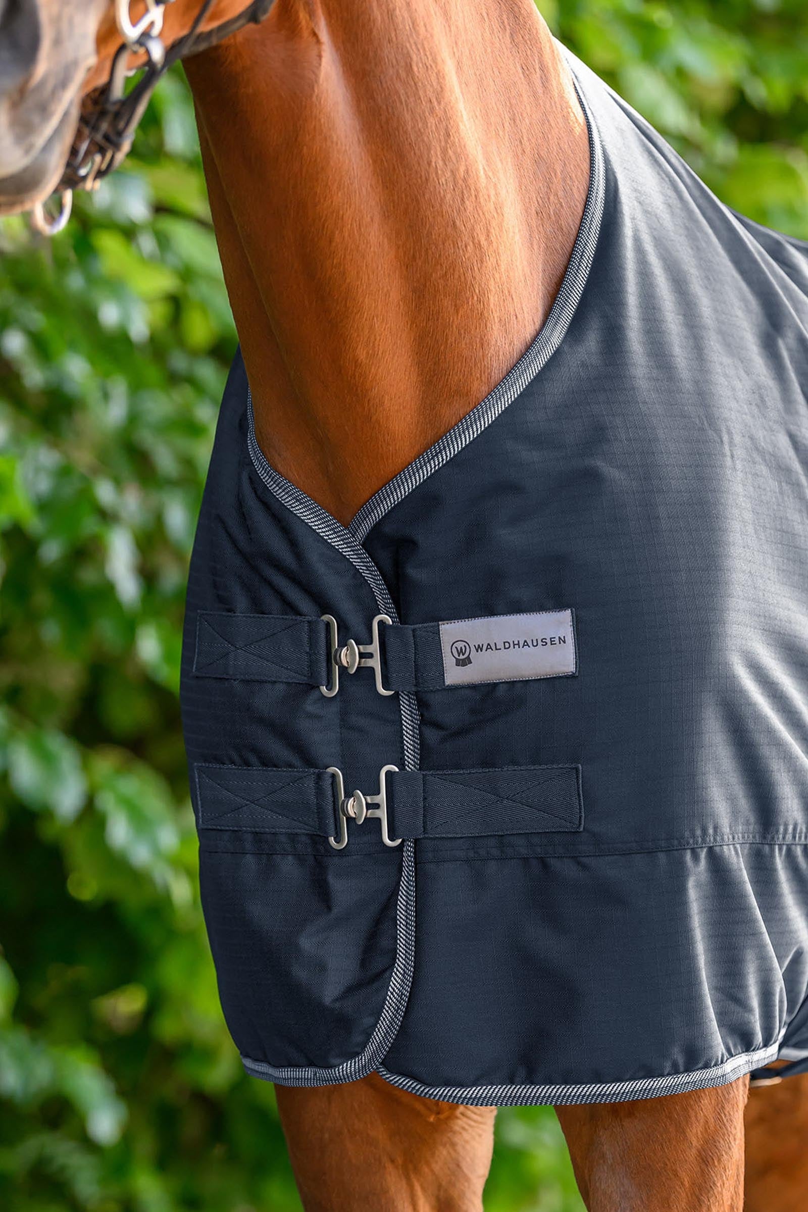 Waldhausen ECONOMIC Outdoor Rug, 200g Horse Rugs