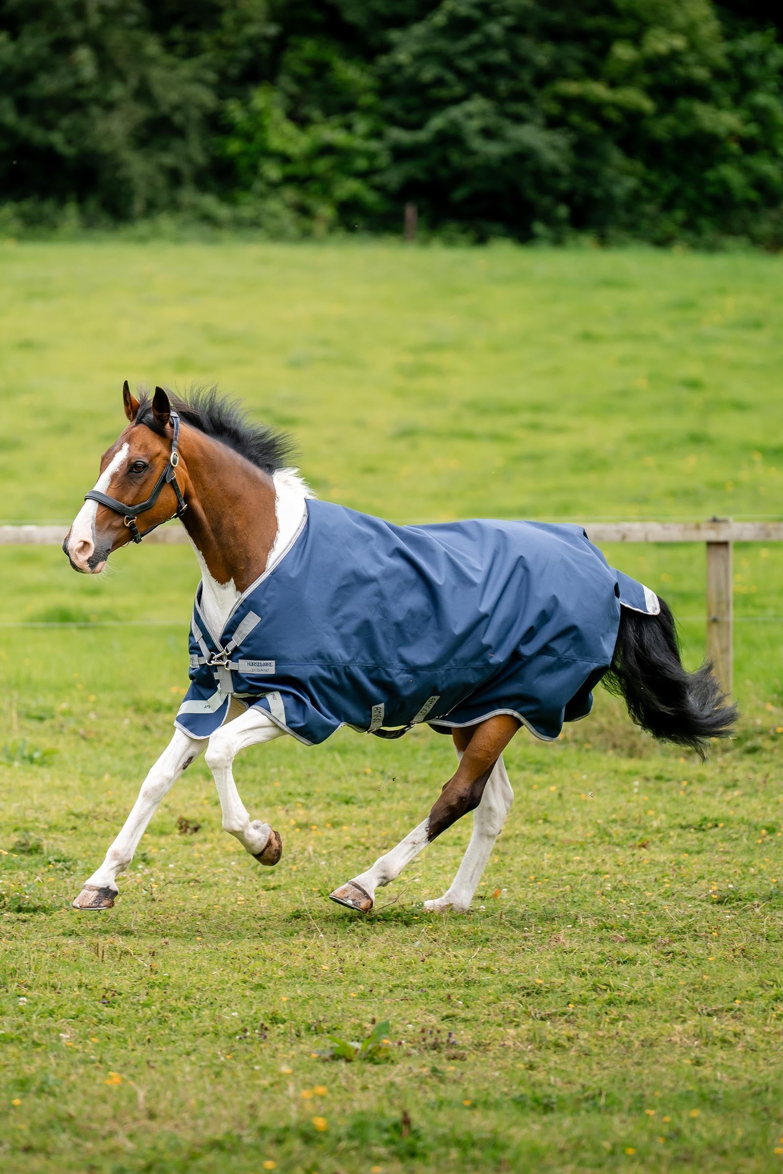 Horseware Amigo 1200D XL Turnout 50 g Horse Rugs