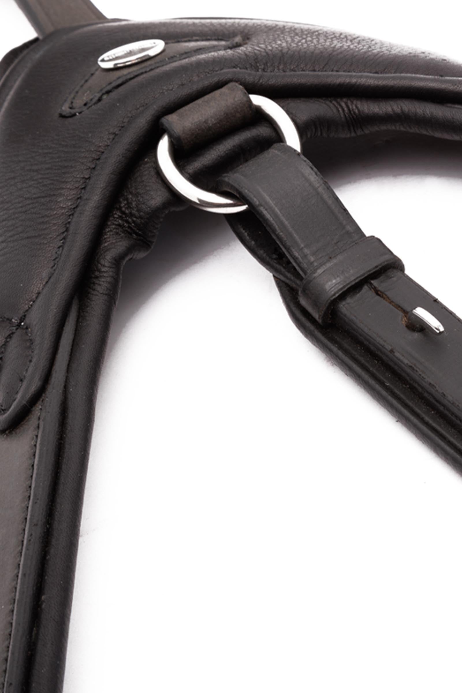 Kavalkade Azriel Martingale, Softly Padded Bridles & Reins