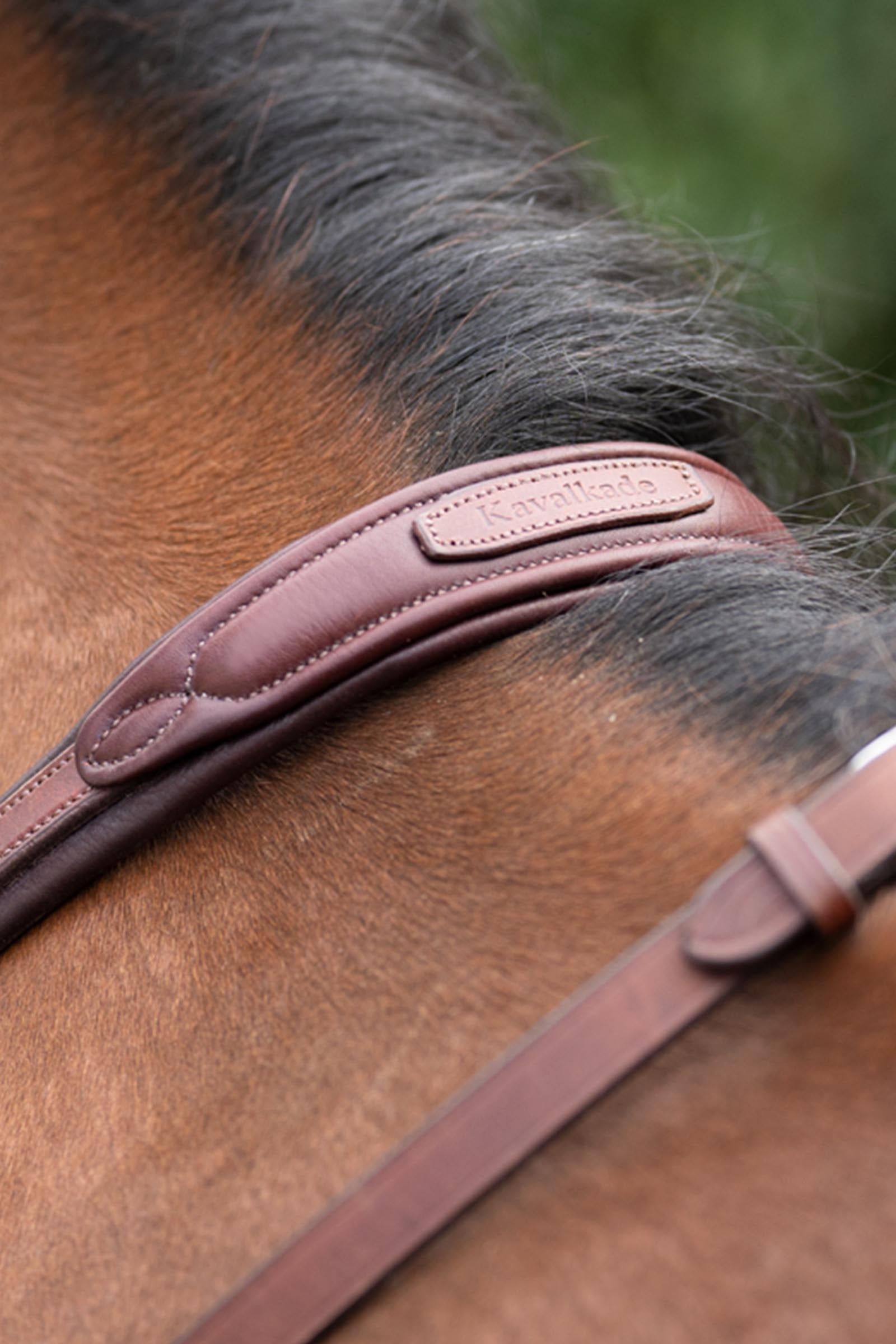 Kavalkade Azriel Martingale, Softly Padded Bridles & Reins
