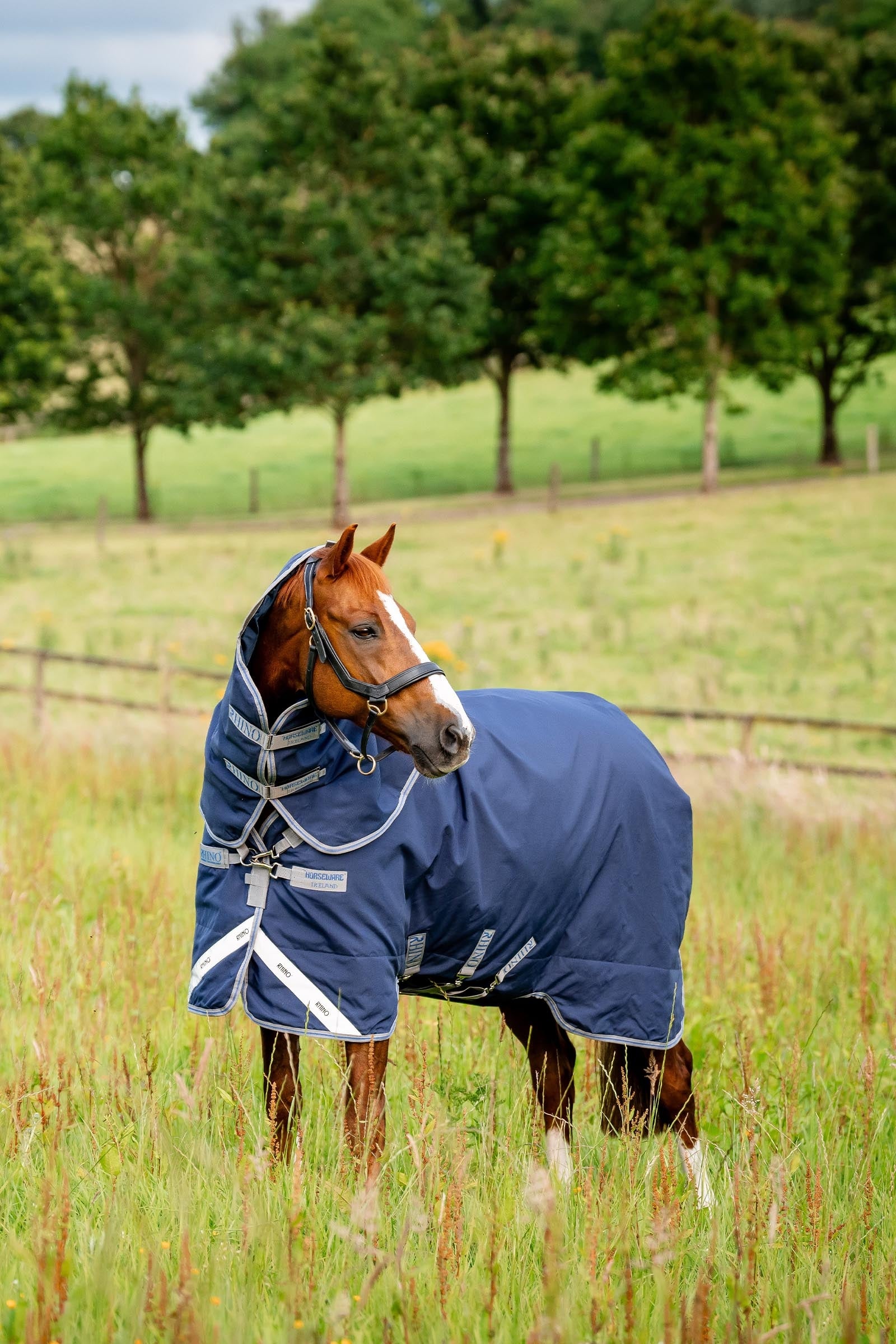 Horseware Rhino Plus Turnout Rug with Detachable Neck, 0g Horse Rugs