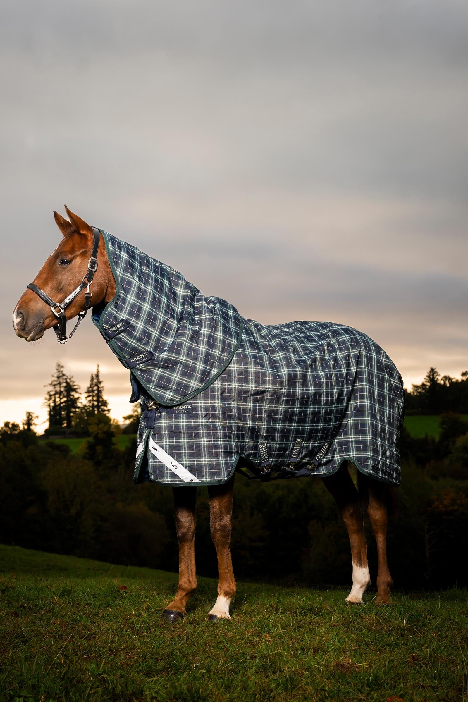 Horseware Rhino Plus Turnout Rug with Detachable Neck, 0g Horse Rugs