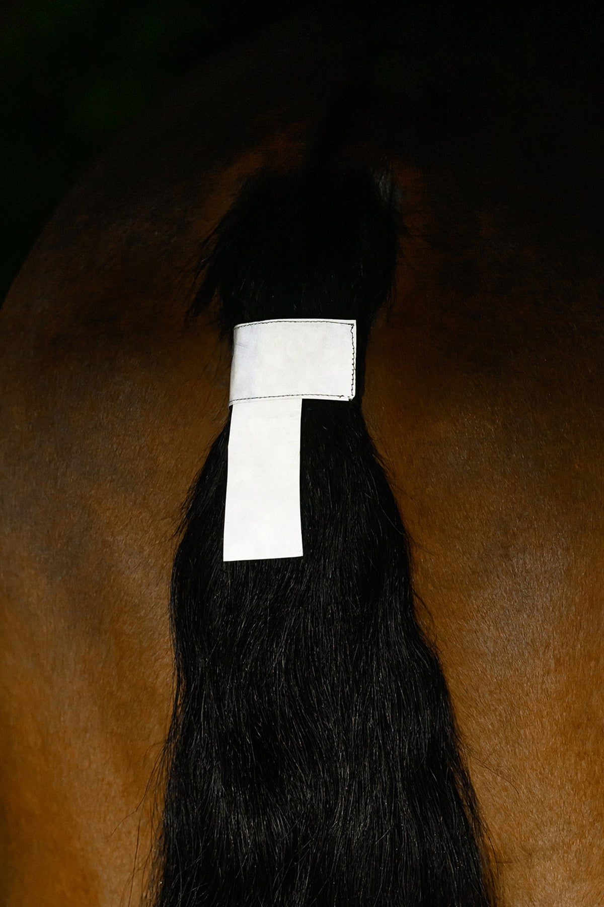 Waldhausen REFLEX Tail Cord Reflective