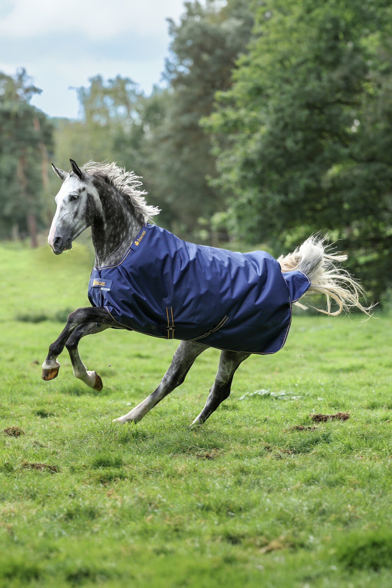 Bucas Irish couverture d'extérieur, 150g Couvertures cheval