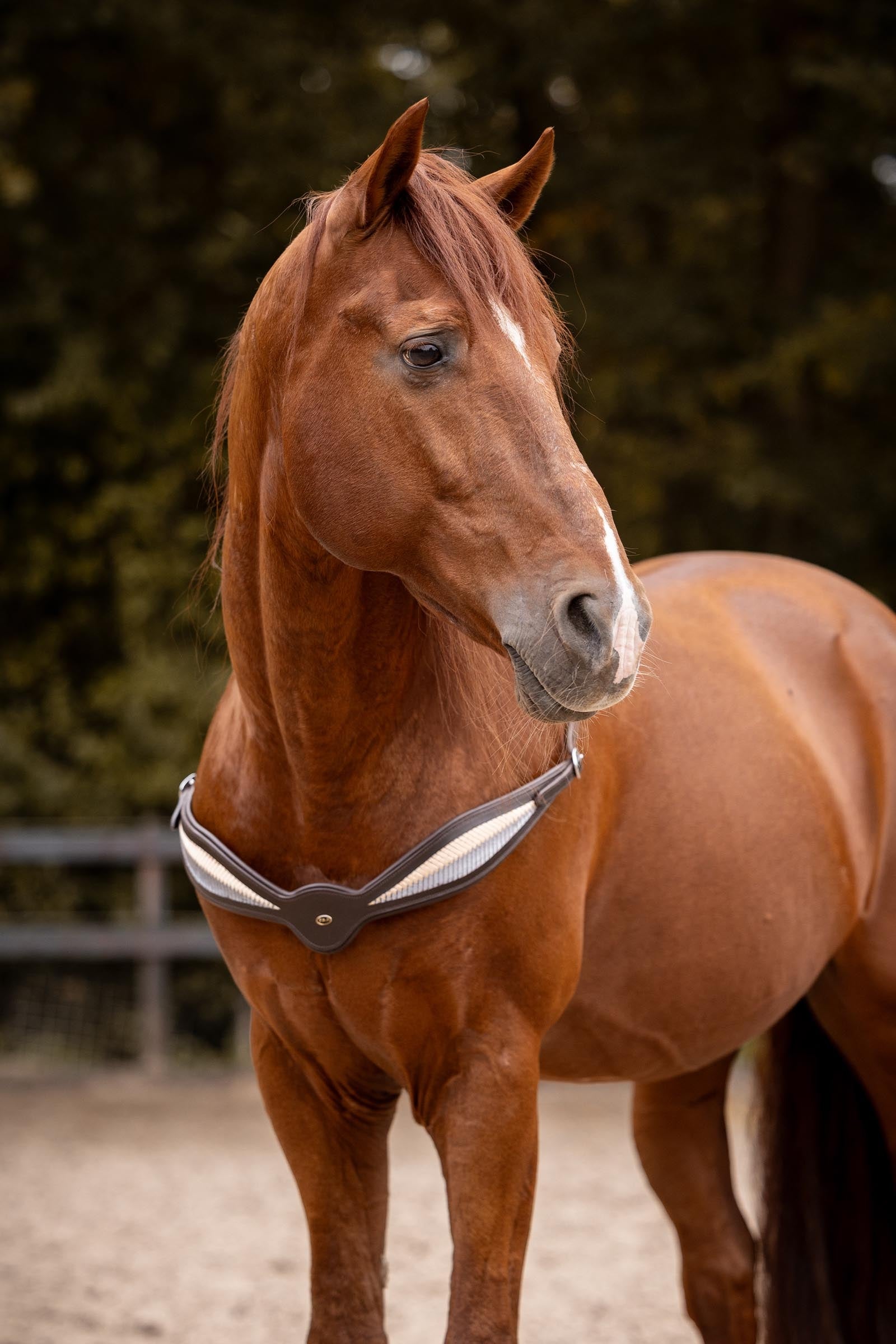 F.R.A. Freedom Riding Articles Whisper Leather Riding Balance Reins Bridles & Reins