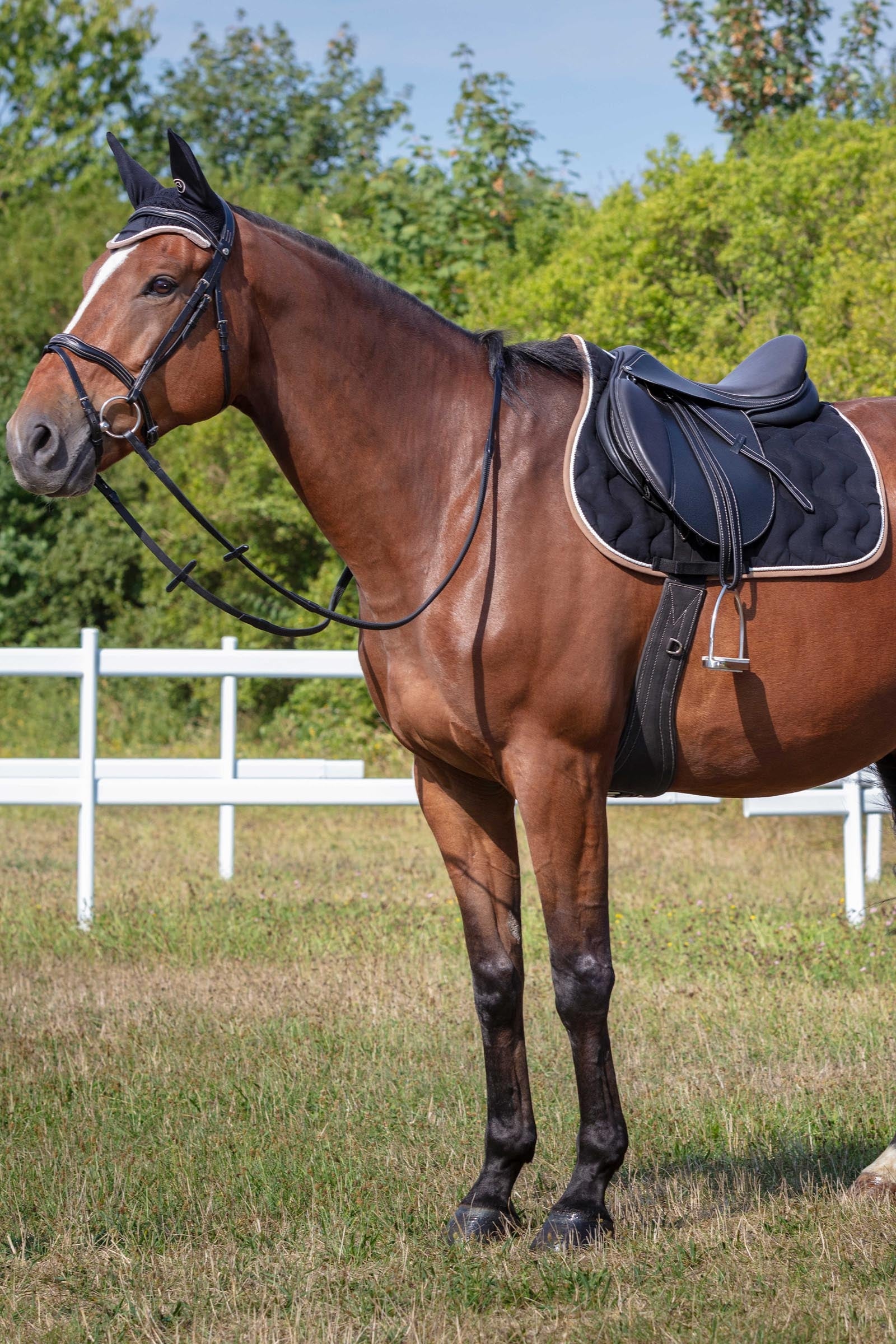 Equi Theme EQUITHÈME Polyfun All Purpose Saddle Pad, Shetland Saddle Pads