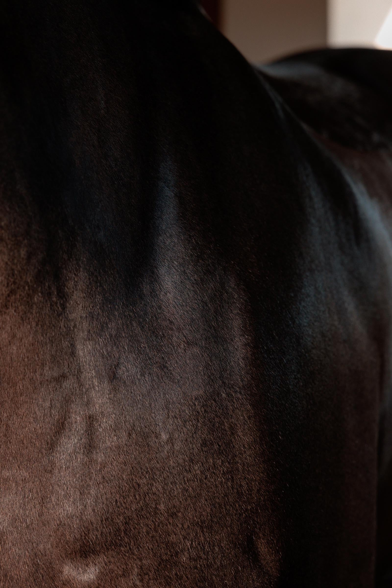 Grooming Deluxe Super Shine Gloss Gel Almond, 250 ml Horse Health Care