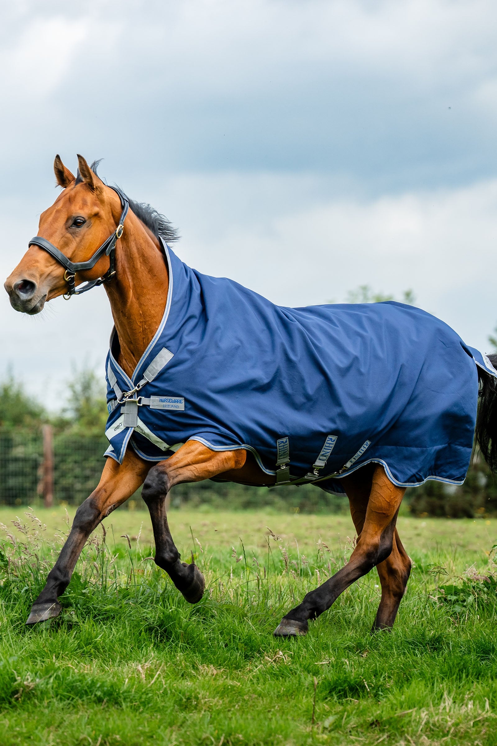 Horseware Rhino Wug couverture de prairie, 100 g Couvertures cheval