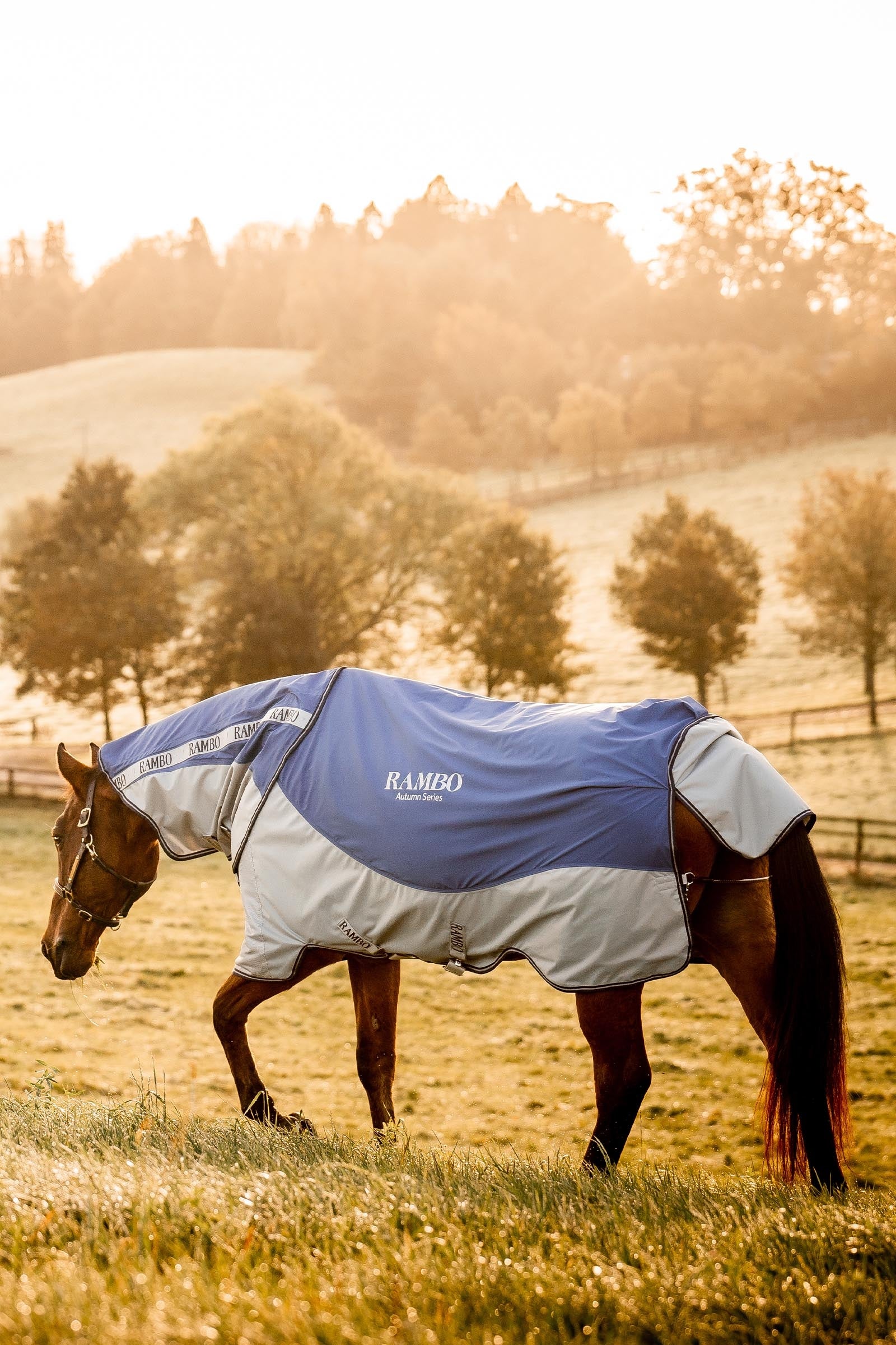 Horseware Rambo Autumn Series Turnout Rug With Liner (0g / 100g) Horse Rugs