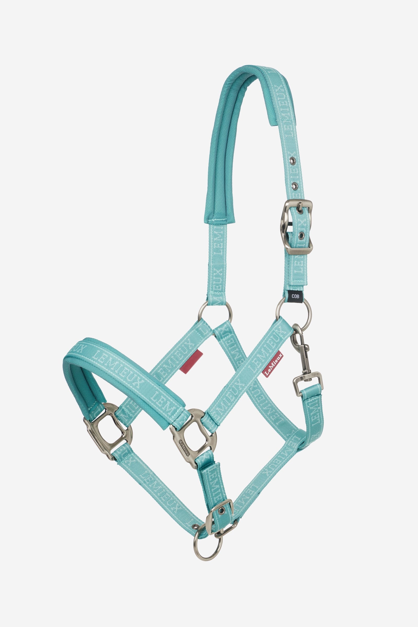 LeMieux Logo Licol Licols & longes