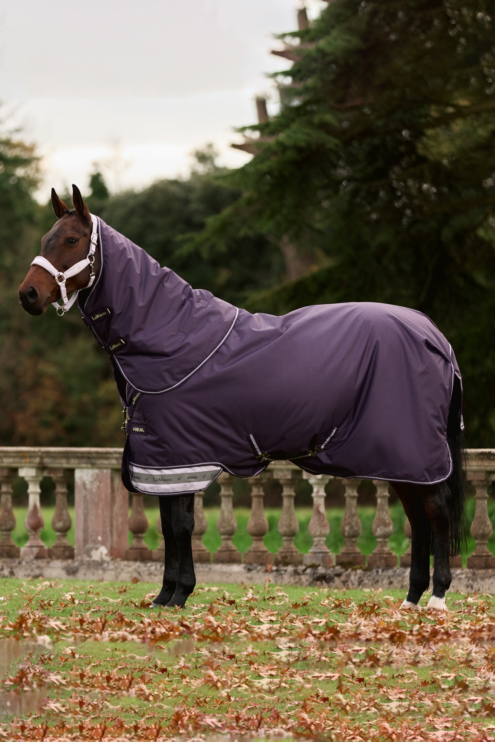 LeMieux Arika Ripstop Turnout Rug With Detachable Neck, 0 g Couvertures cheval