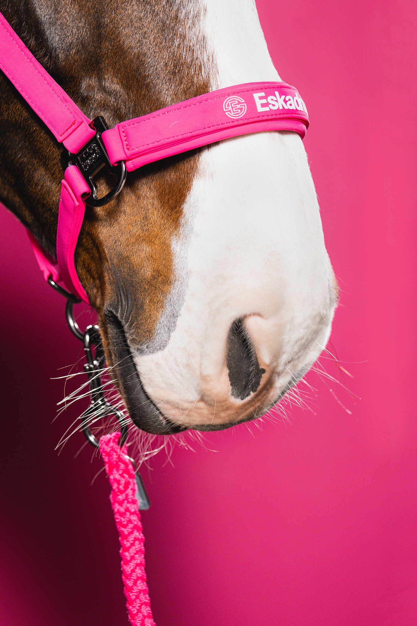 Eskadron Dynamic AW26 Softshell Double PIN Headcollar Halters & Leads