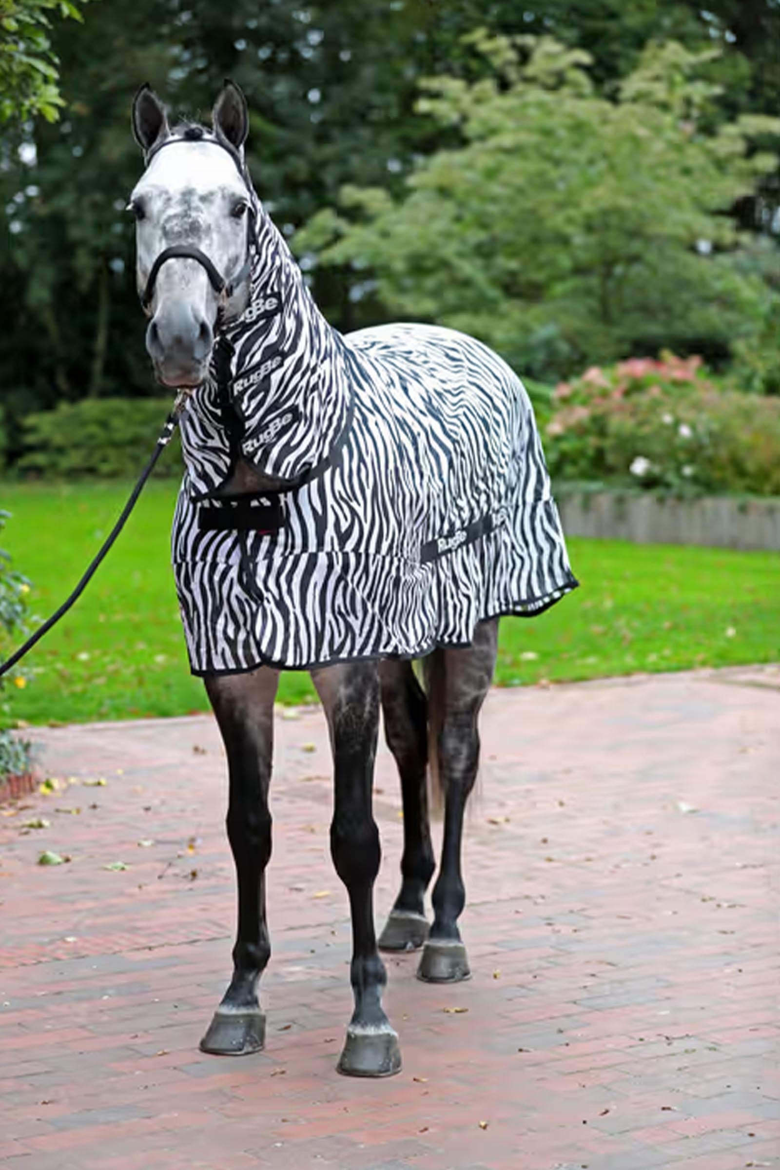 Covalliero RugBe Zebra Fly Sheet With Tail Flap Horse Rugs