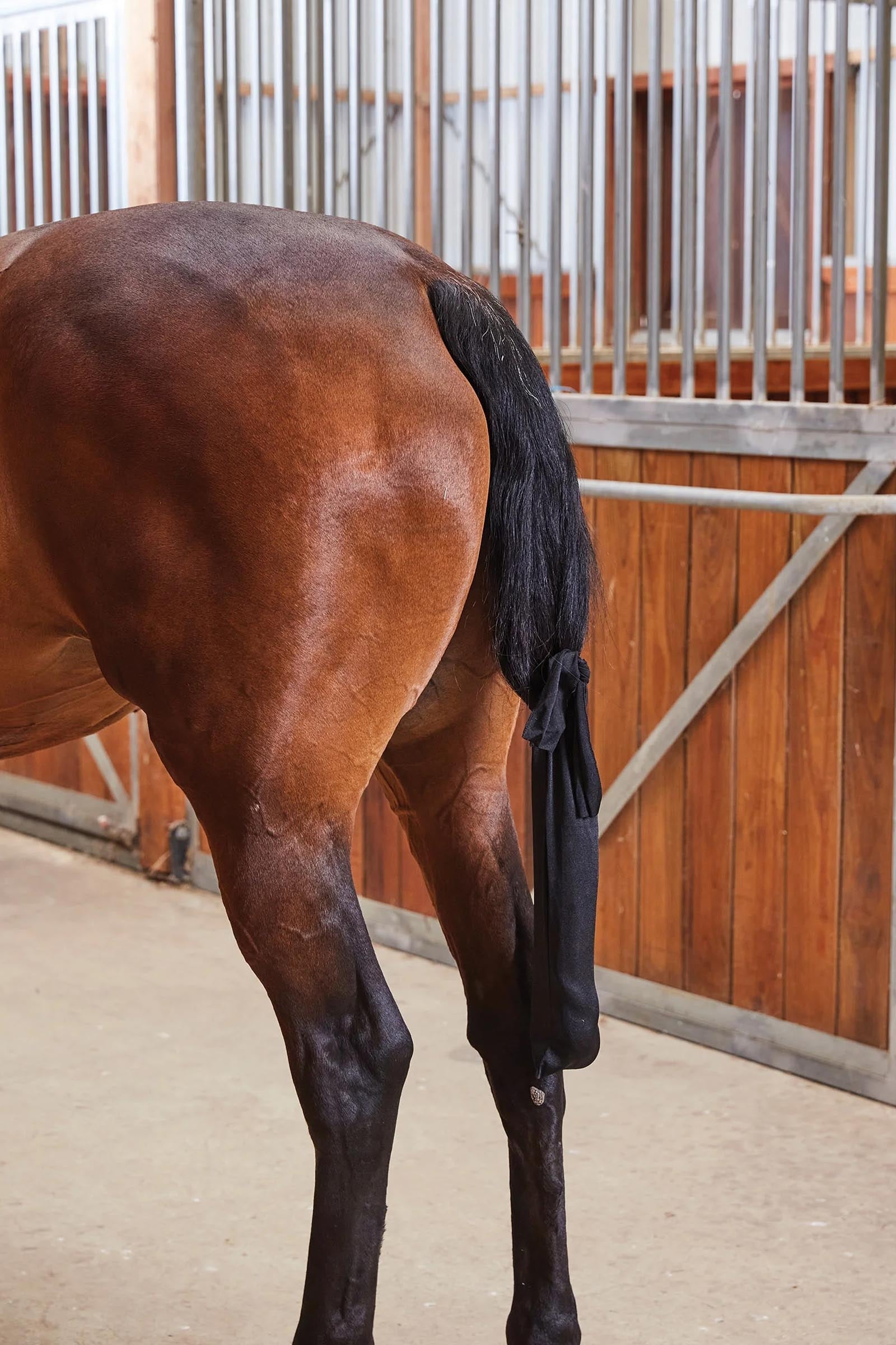 Weatherbeeta Sac de queue en élasthanne Couvertures cheval