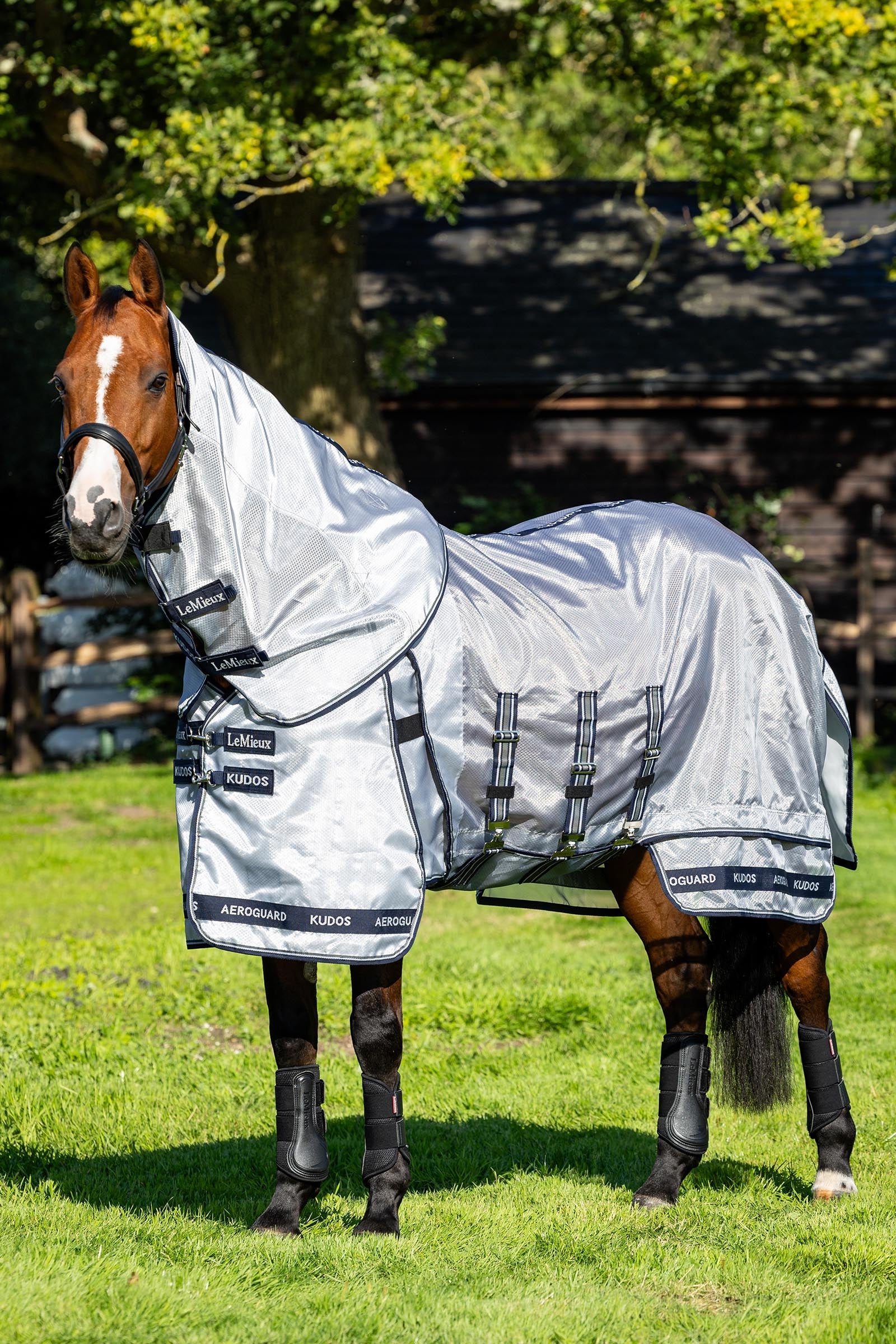 LeMieux Kudos AeroGuard couverture anti-mouches avec encolure amovible Couvertures cheval