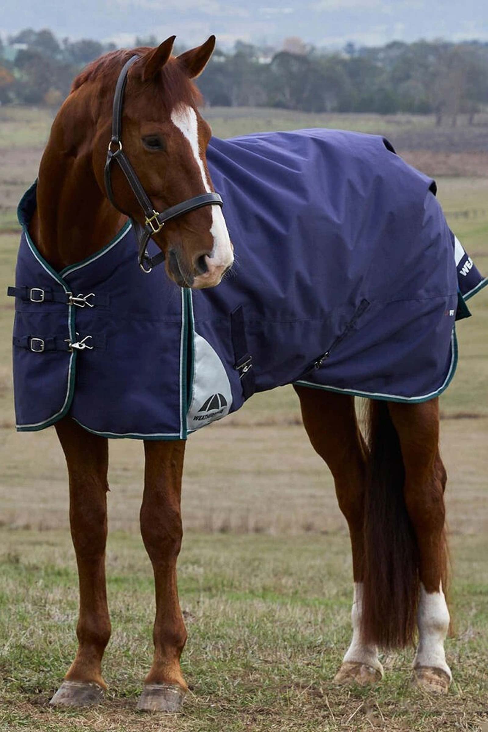 Weatherbeeta ComFiTecPlus Dynamic Turnout Rug, 0 g Horse Rugs